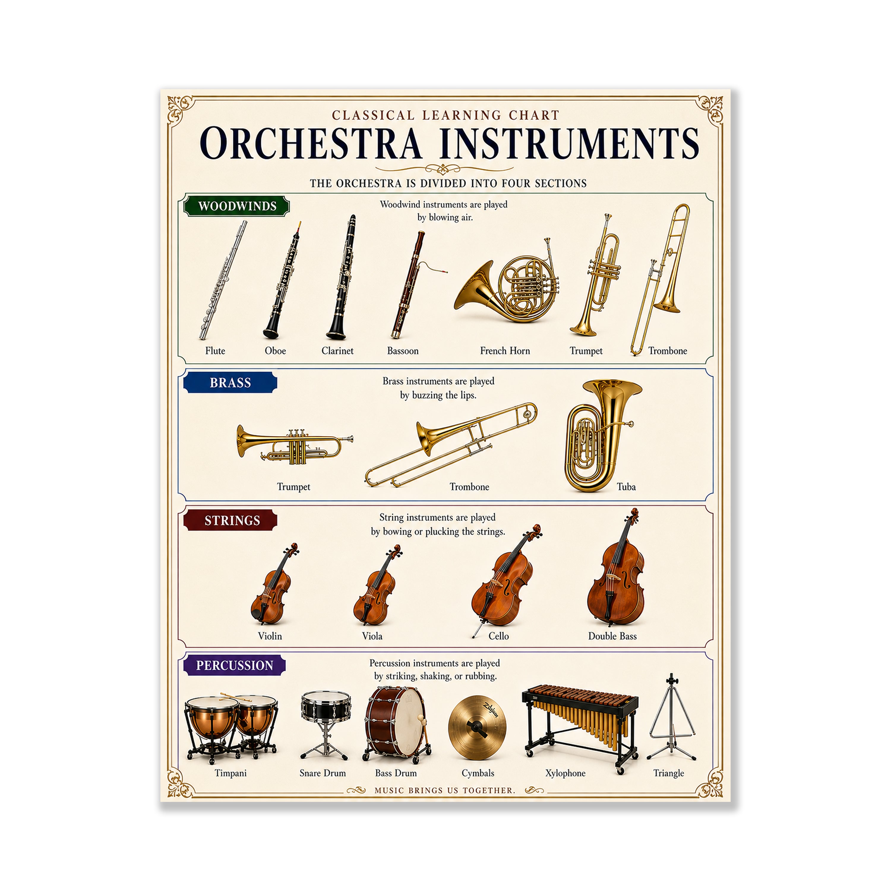 Orchestra Instruments Educational Chart