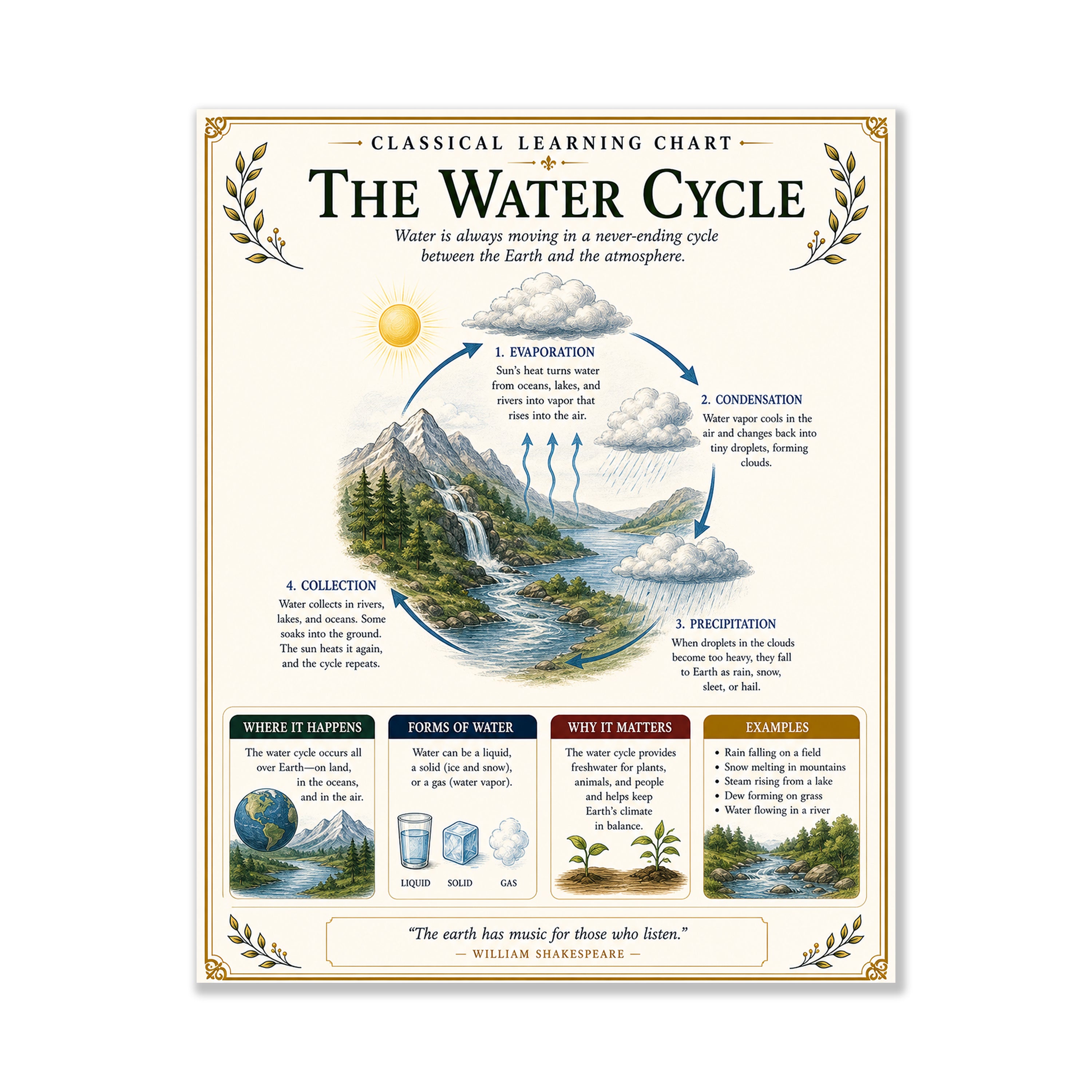 Water Cycle Educational Chart