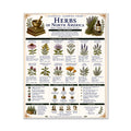 Herbs of North America Classical Learning Chart
