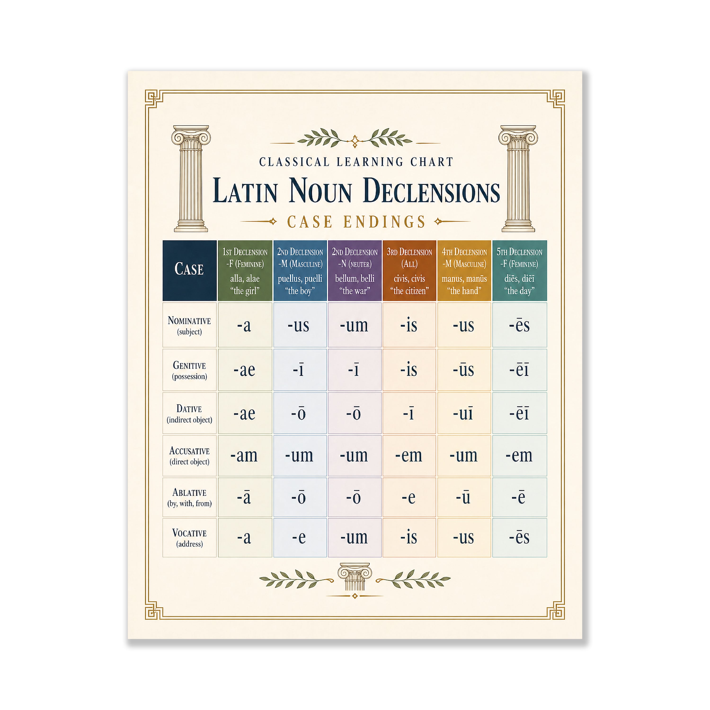 Latin Noun Declensions Educational Chart