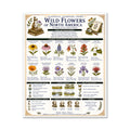 Wild Flowers of North America Classical Learning Chart