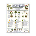 Botany Basics Classical Learning Chart
