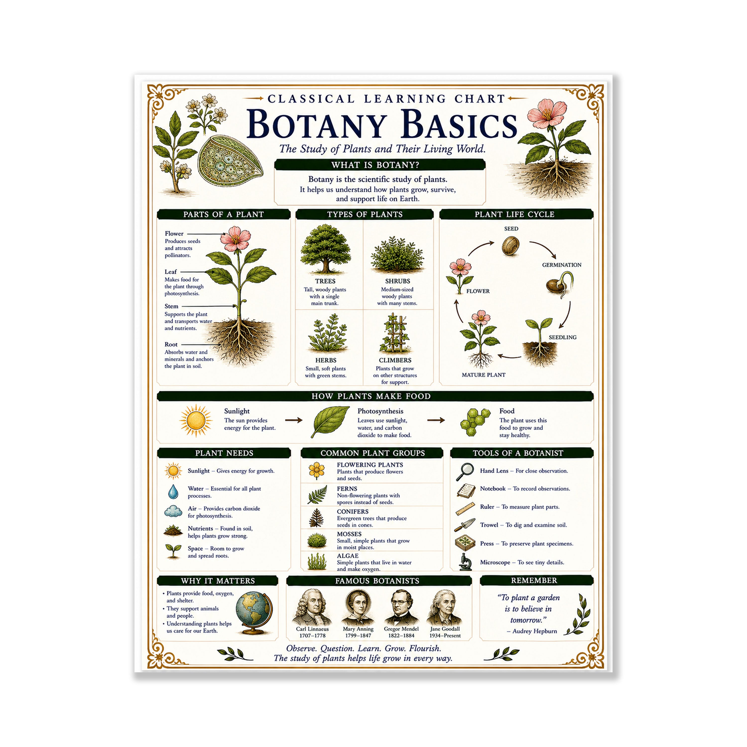 Botany Basics Classical Learning Chart