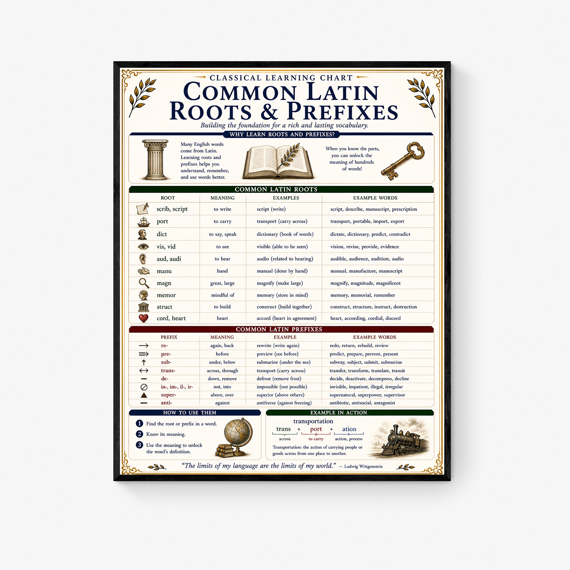 Common Latin Roots & Prefixes Educational Reference Chart