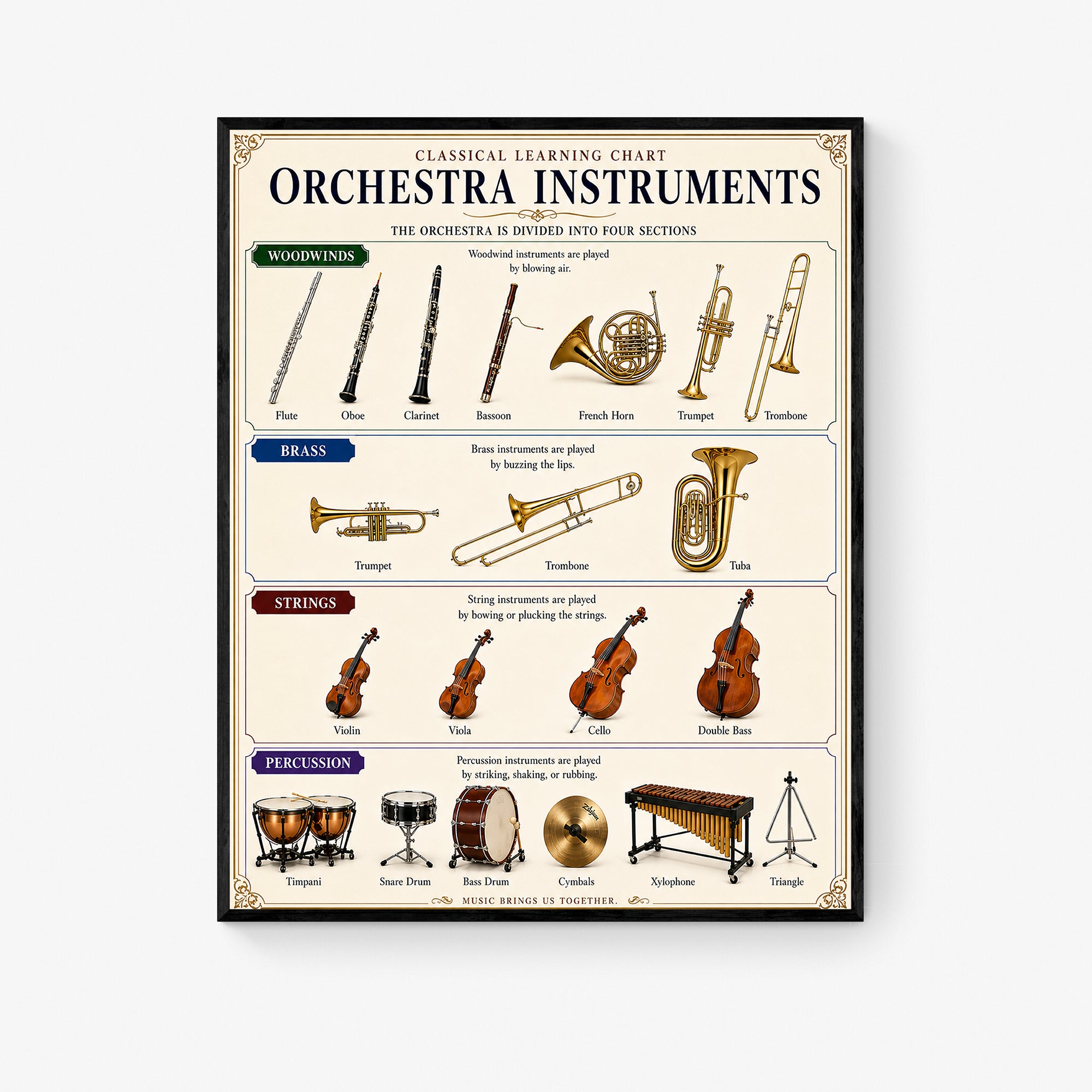 Orchestra Instruments Educational Chart