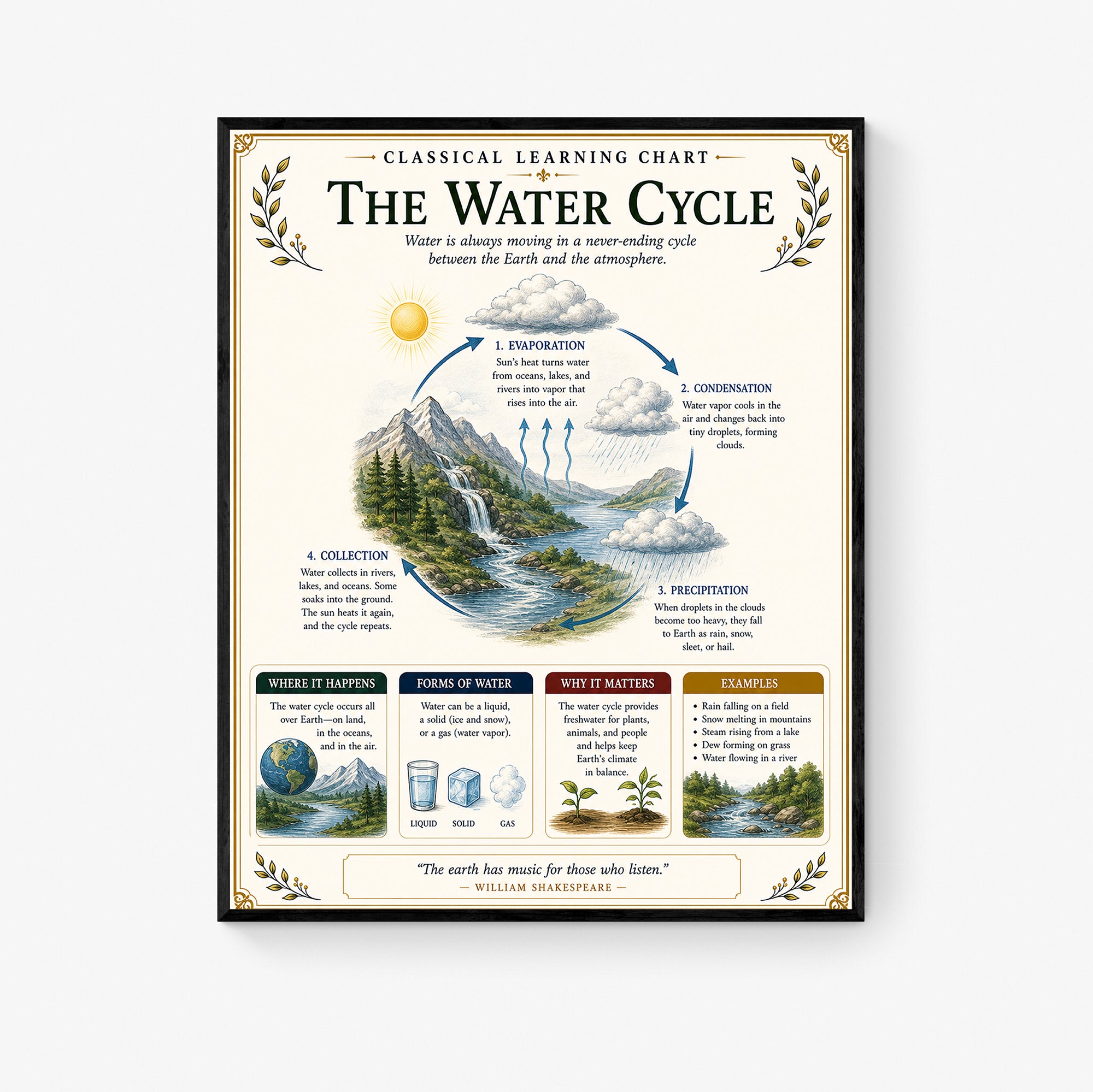 Water Cycle Educational Chart