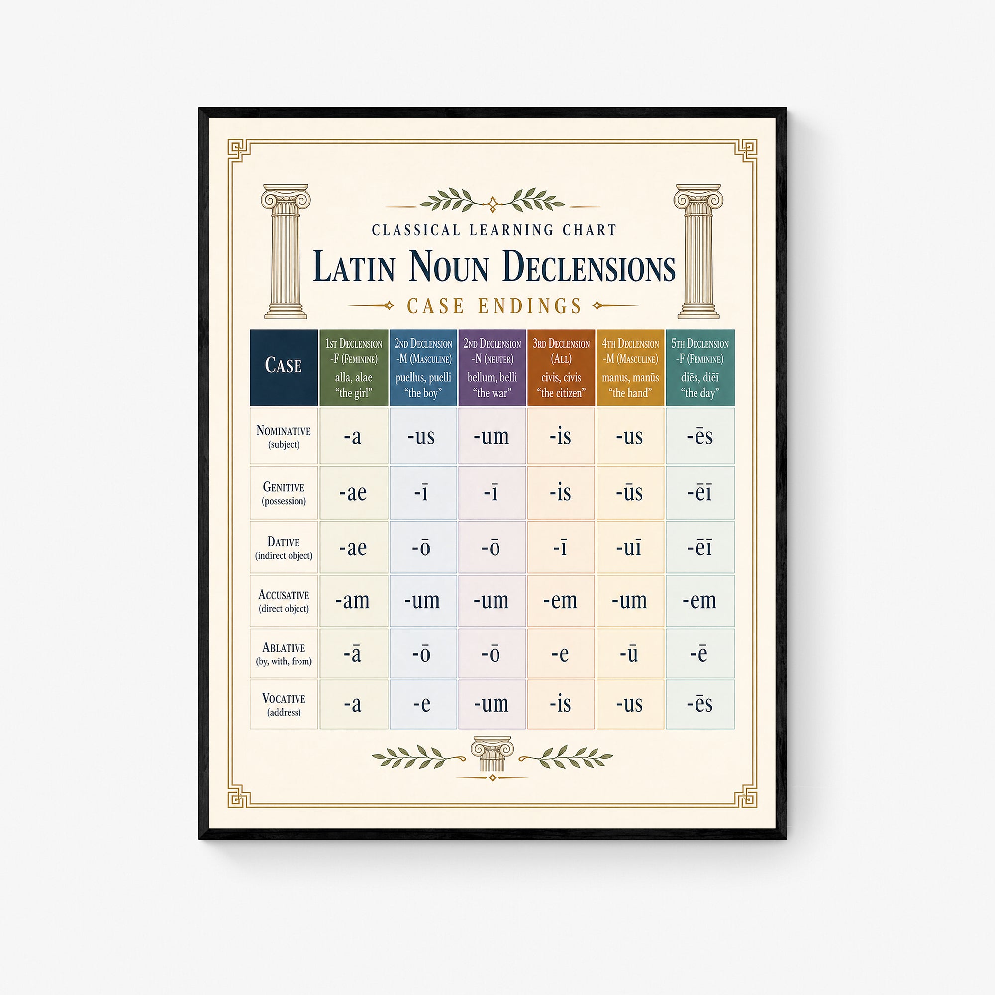 Latin Noun Declensions Educational Chart