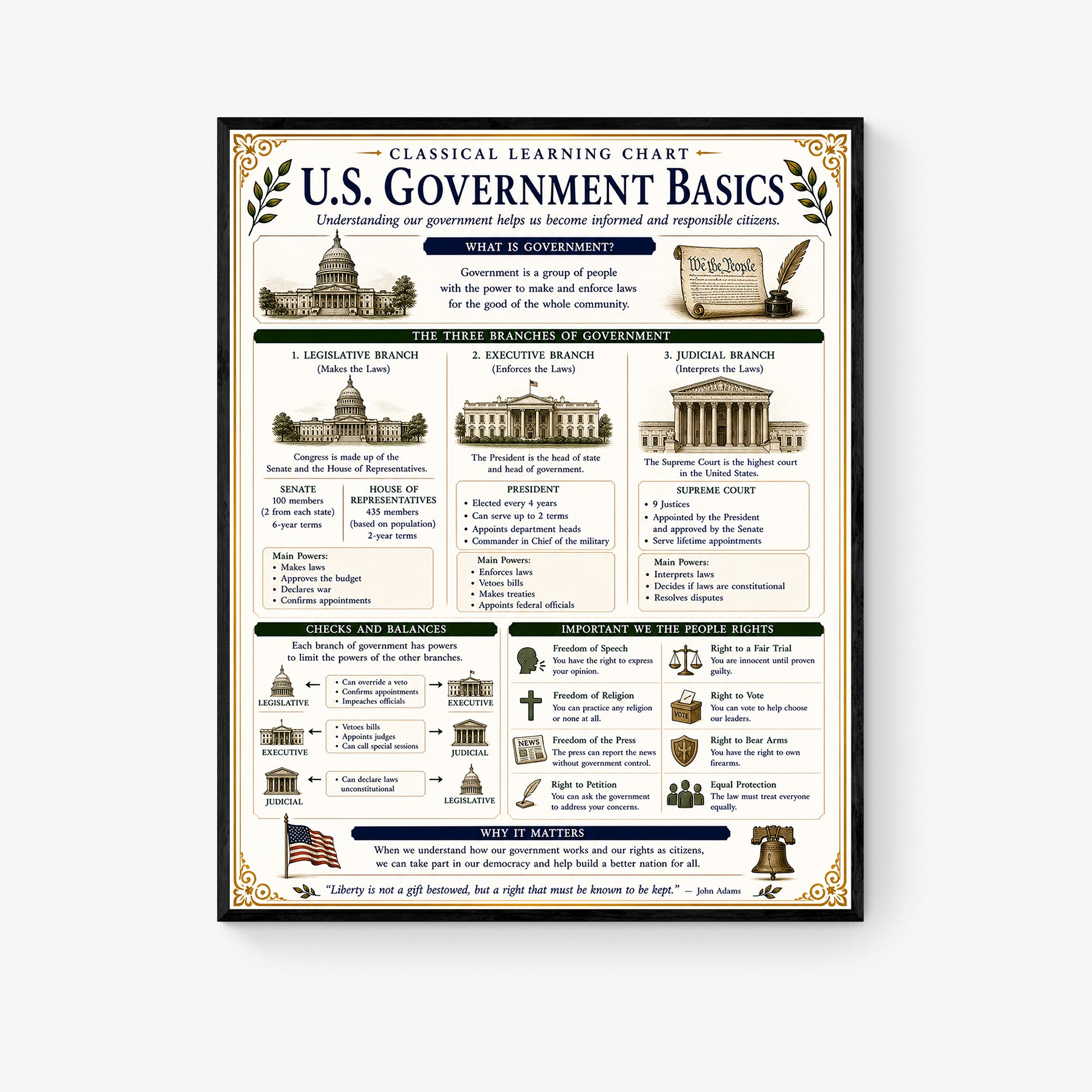 U.S. Government Basics Educational Chart