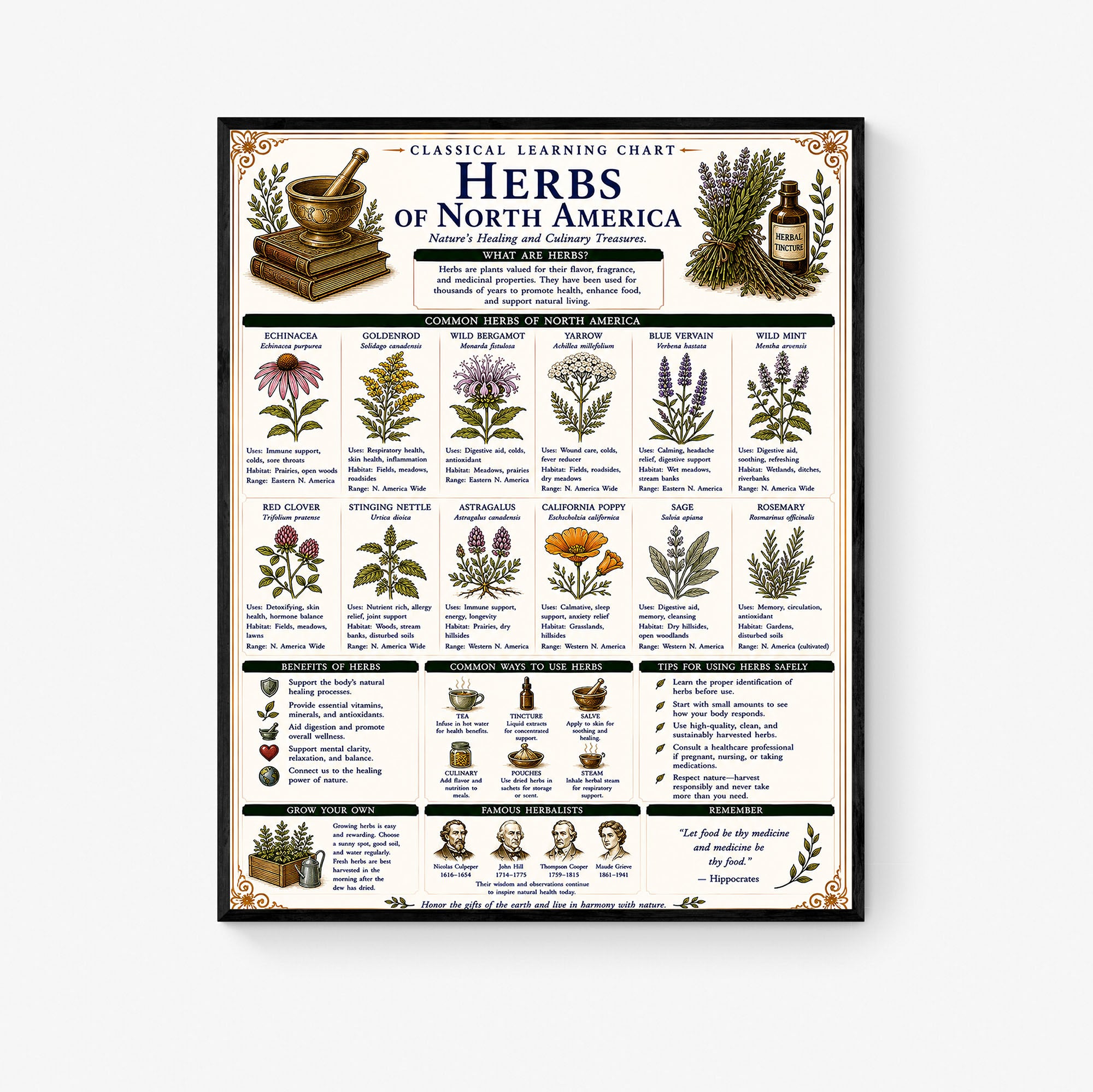Herbs of North America Classical Learning Chart