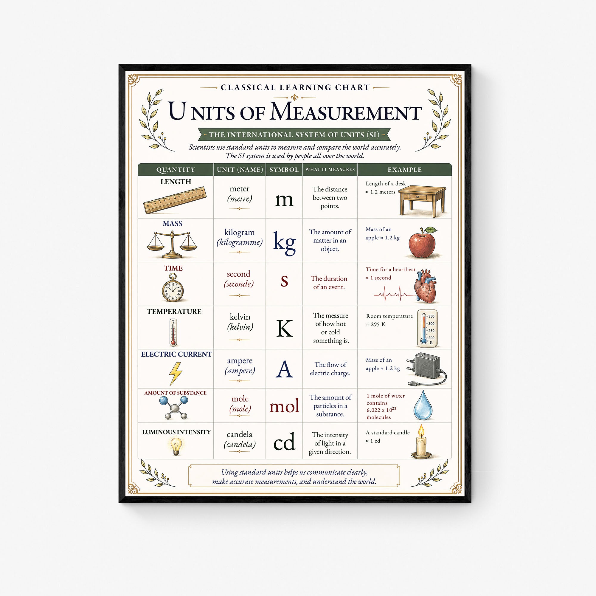 Units of Measurement Educational Chart
