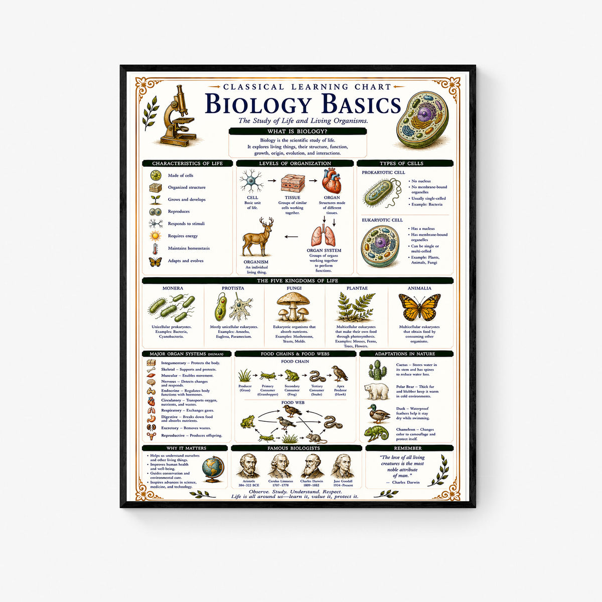 Biology Basics Classical Learning Chart
