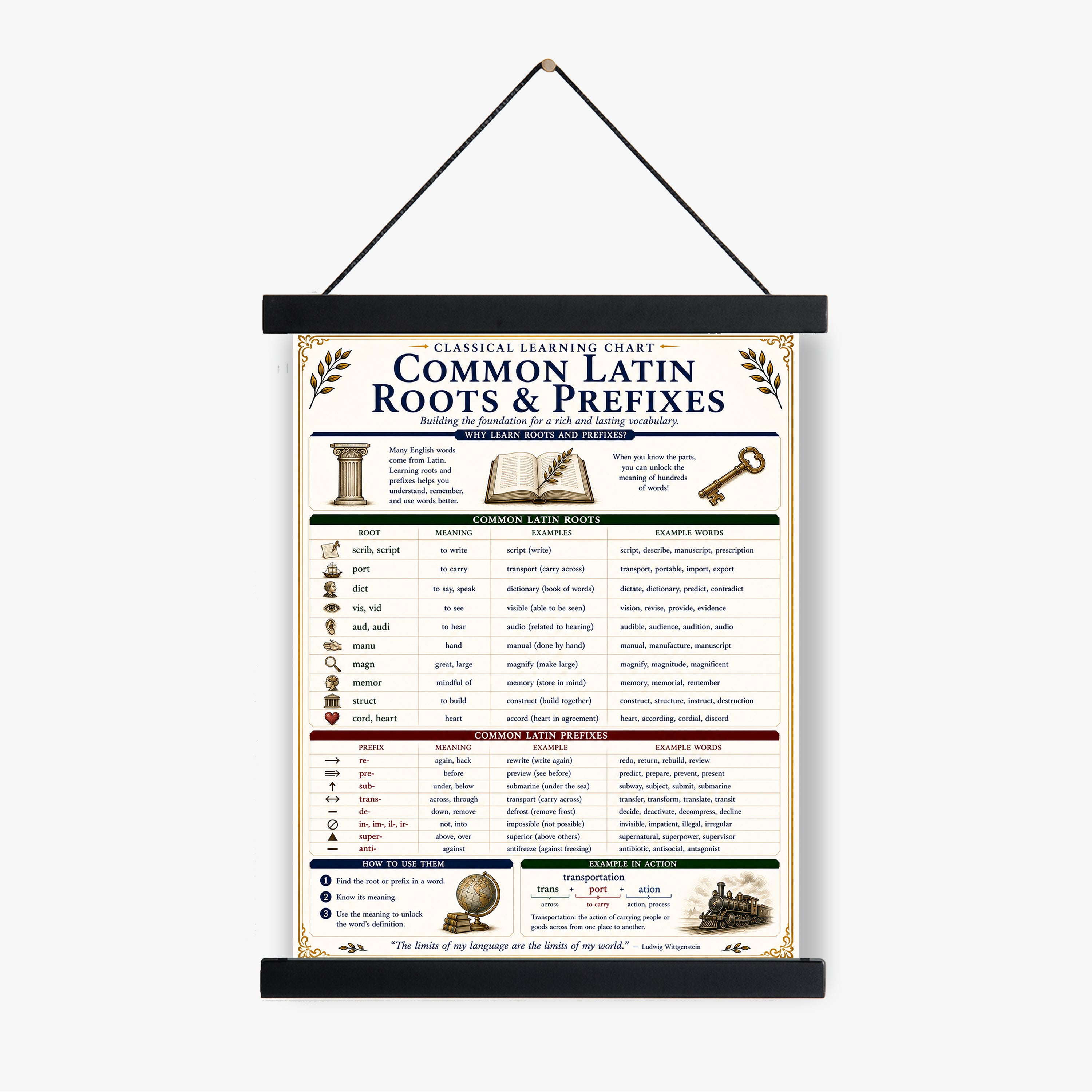 Common Latin Roots & Prefixes Educational Reference Chart