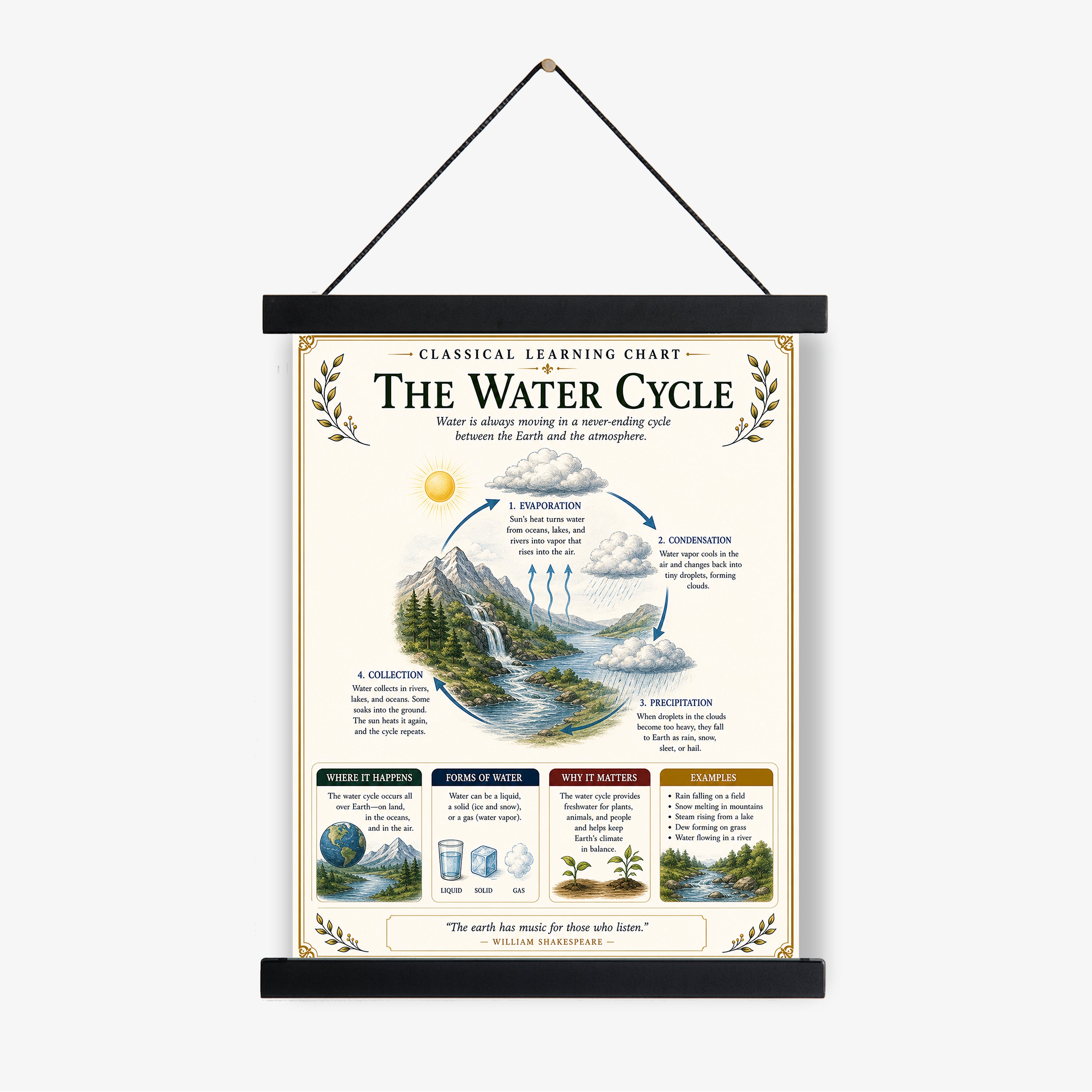 Water Cycle Educational Chart
