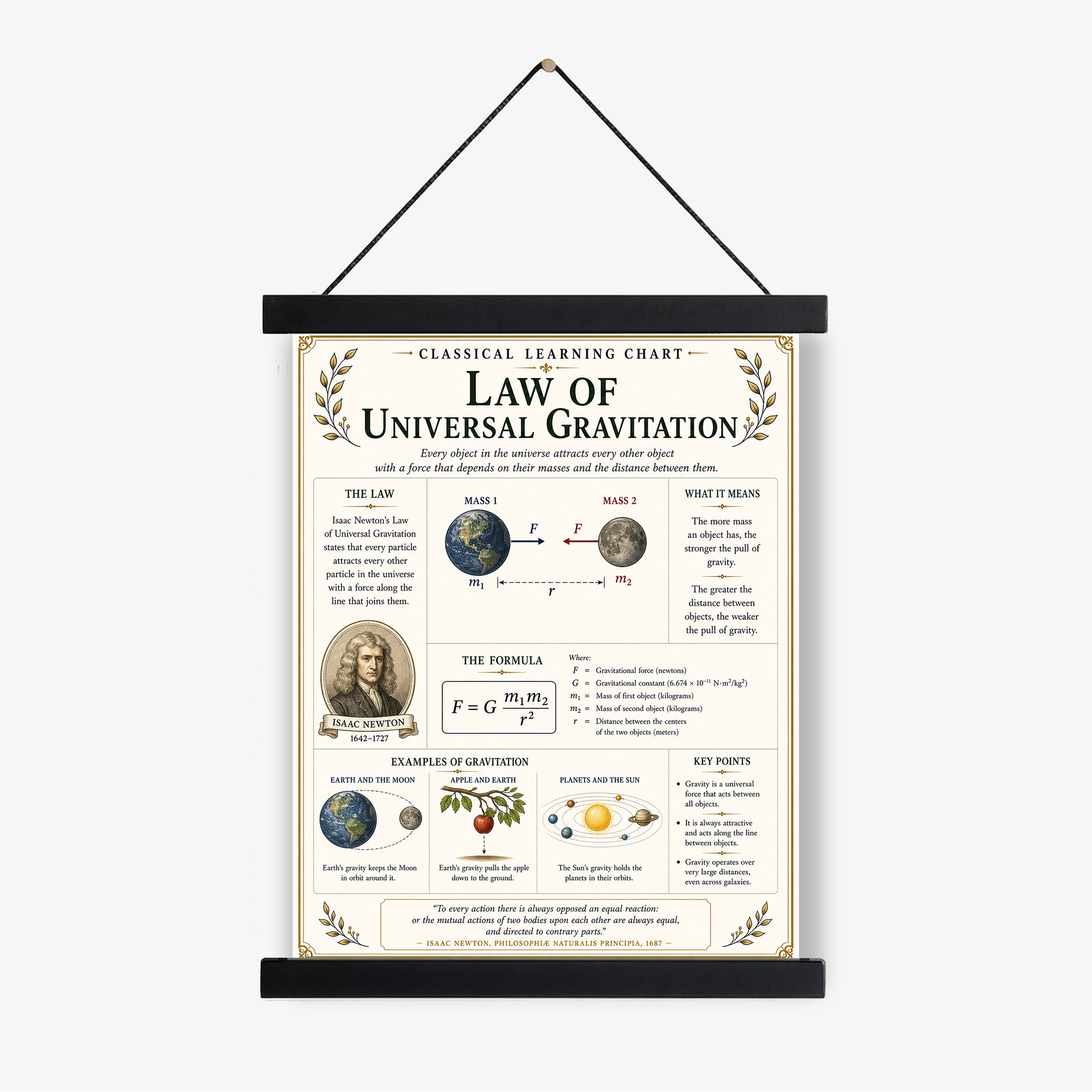 Law of Universal Gravitation Educational Chart