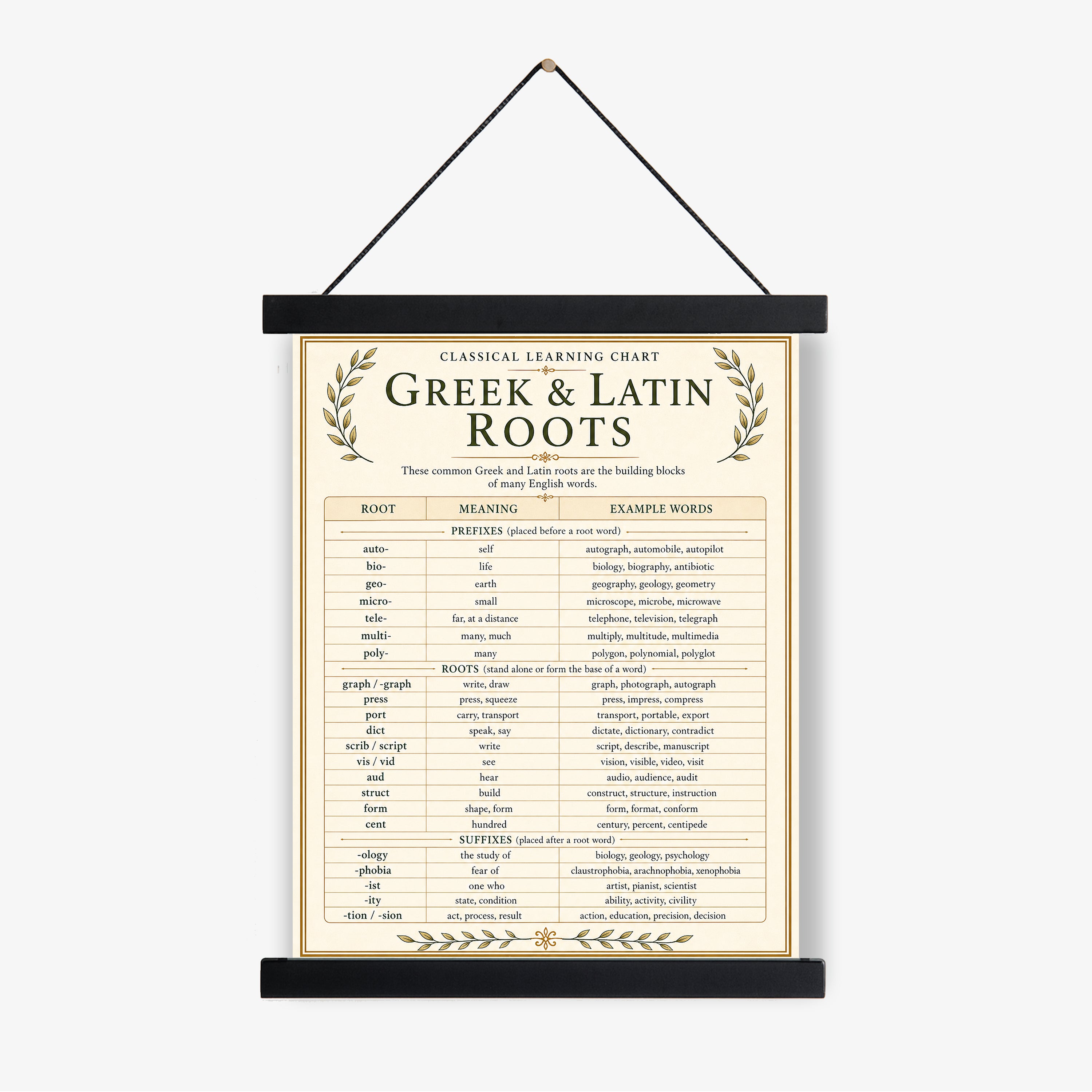 Greek & Latin Roots Educational Chart