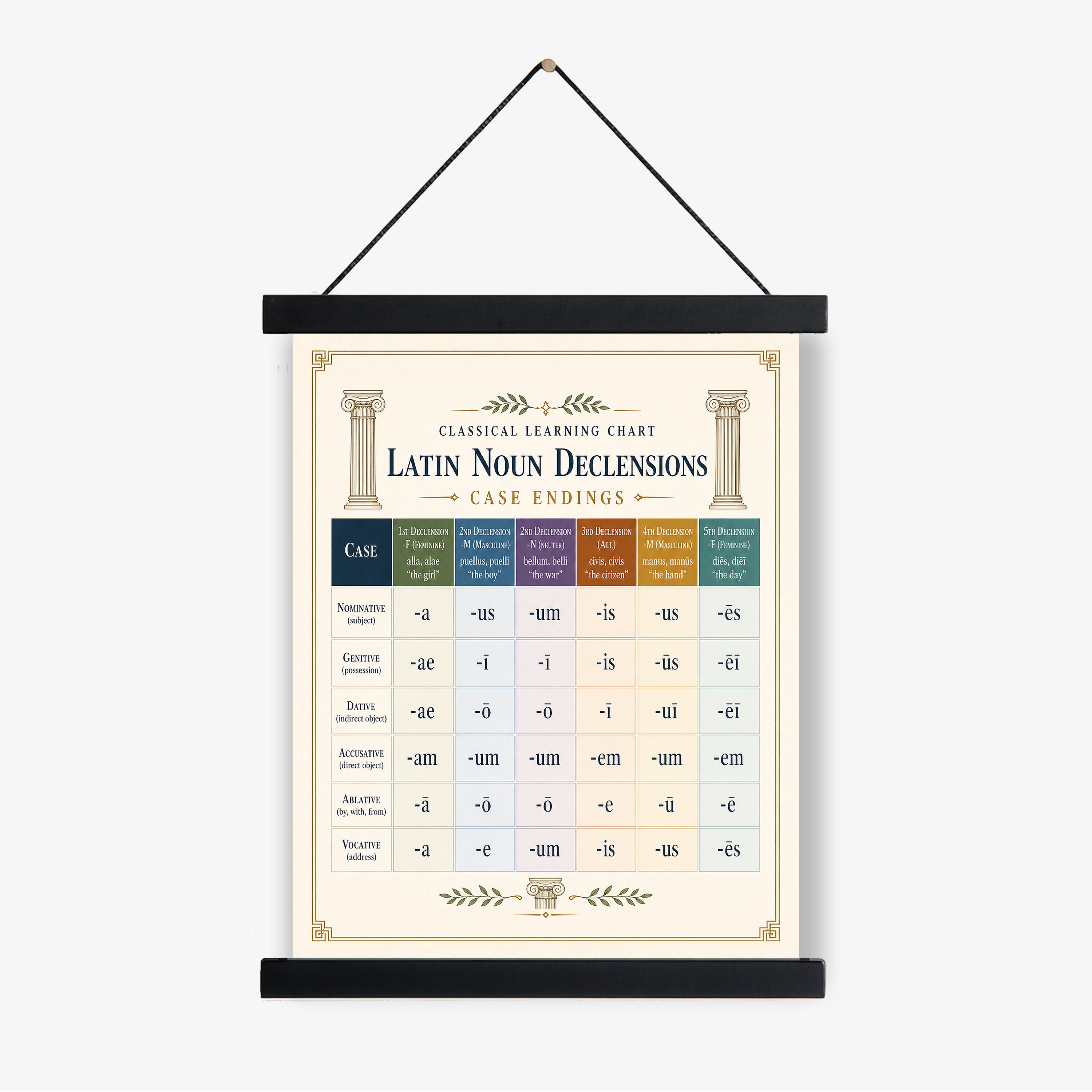 Latin Noun Declensions Educational Chart