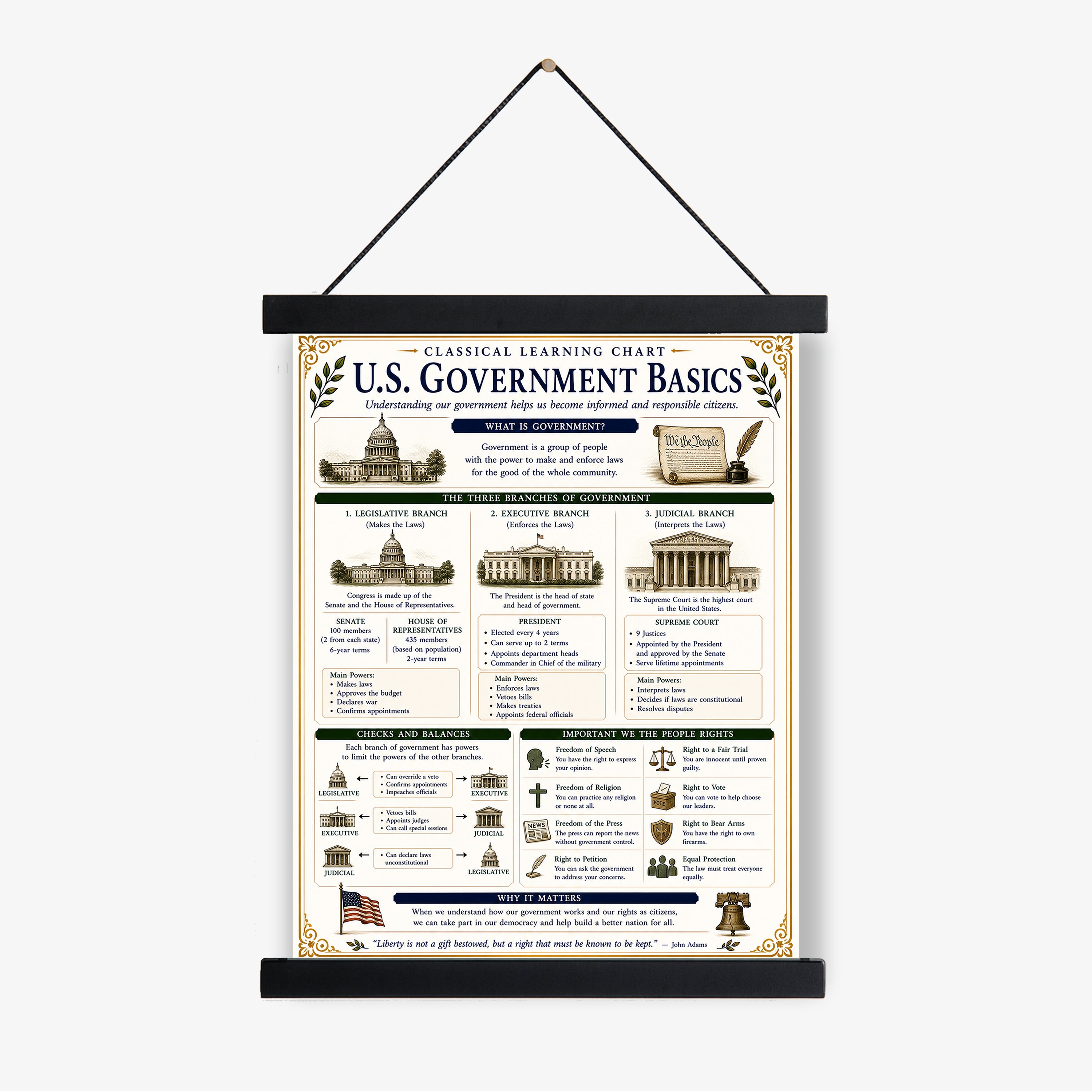U.S. Government Basics Educational Chart