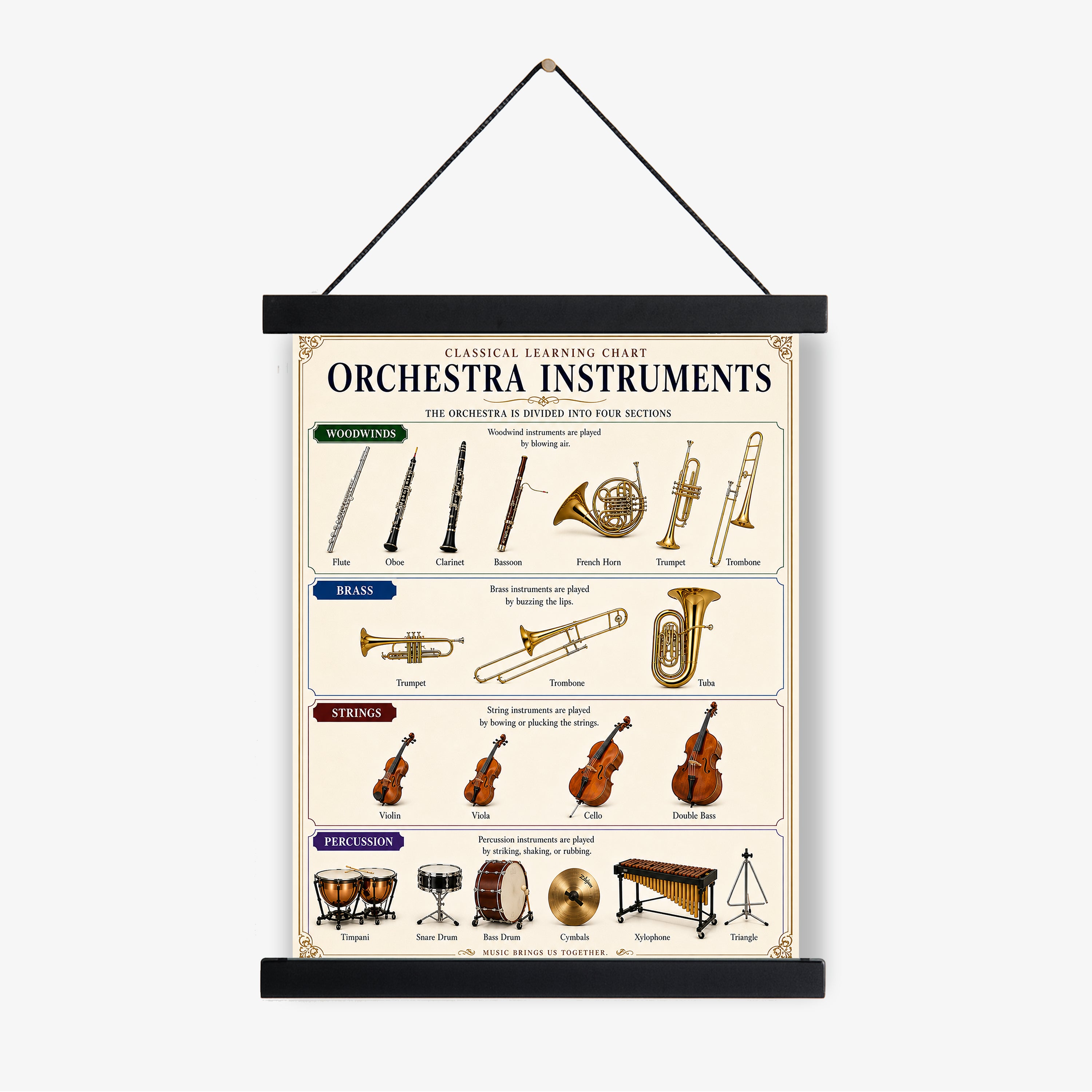 Orchestra Instruments Educational Chart