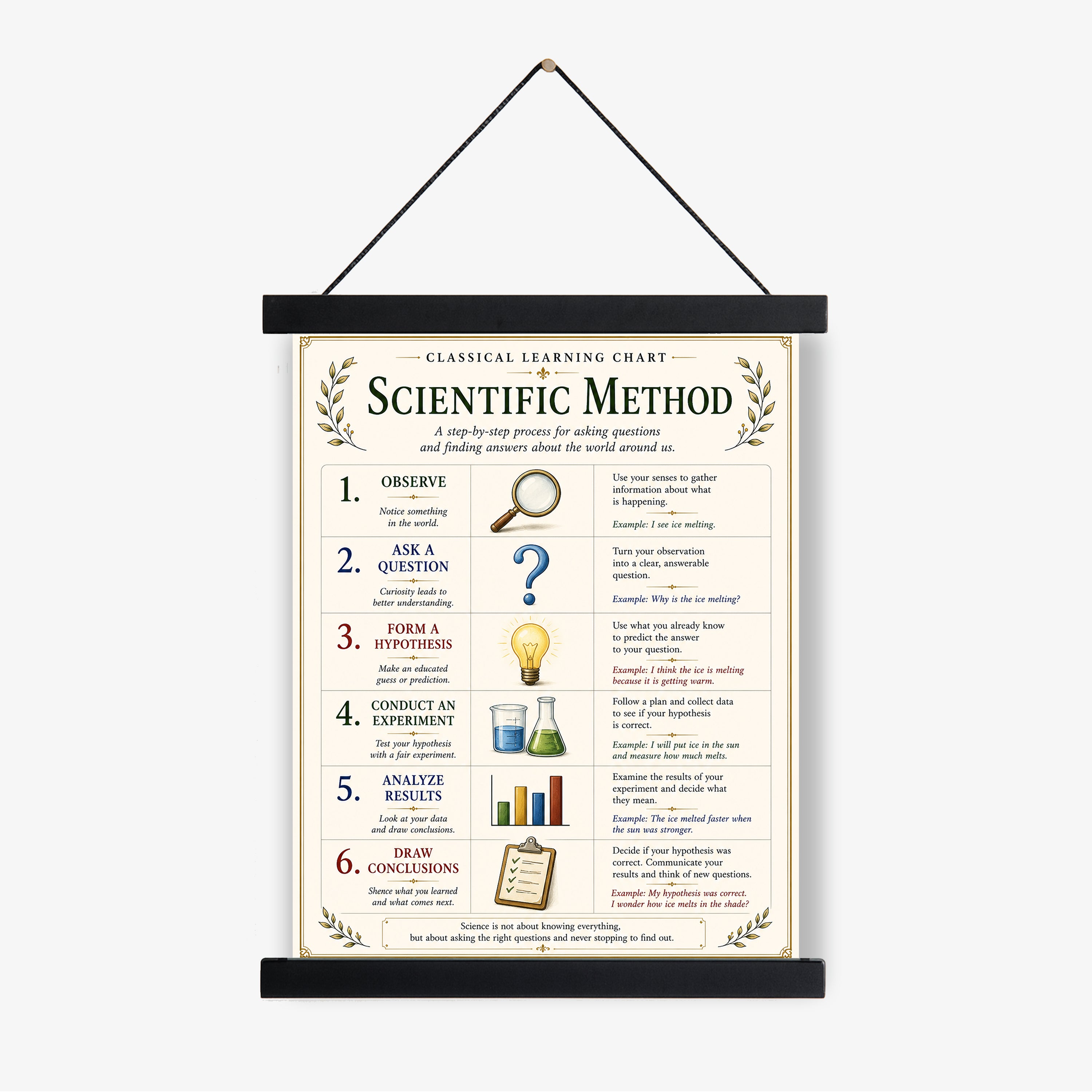 Basics of the Scientific Method Educational Chart