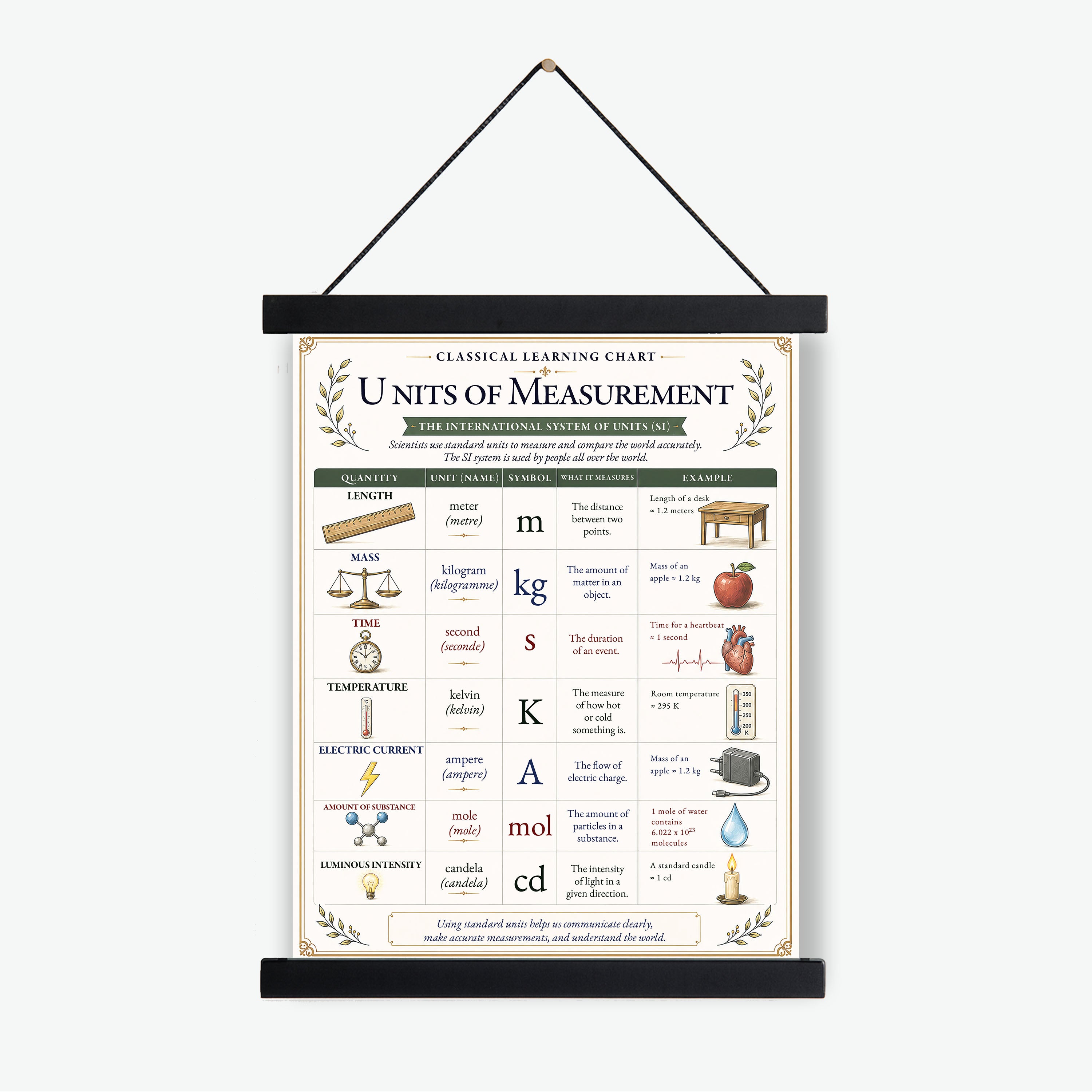 Units of Measurement Educational Chart