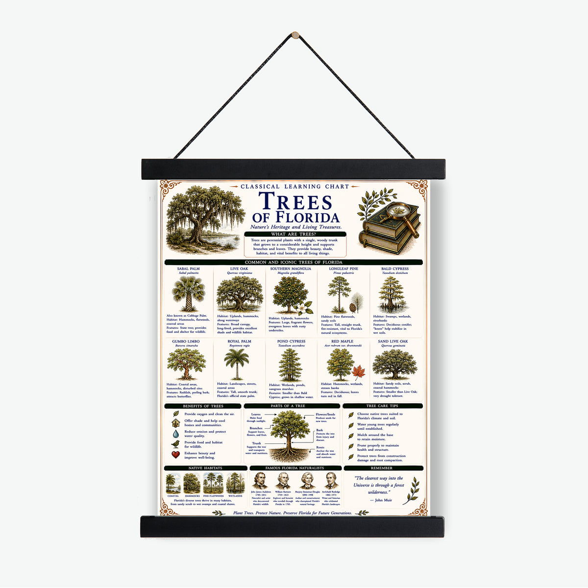 Trees of Florida Classical Learning Chart