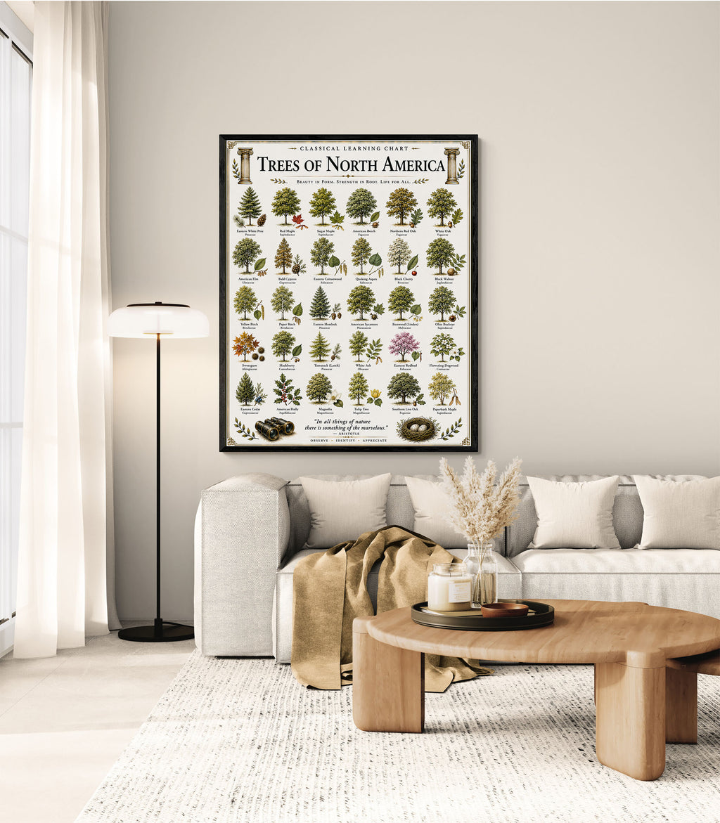 Trees of North America Educational Chart