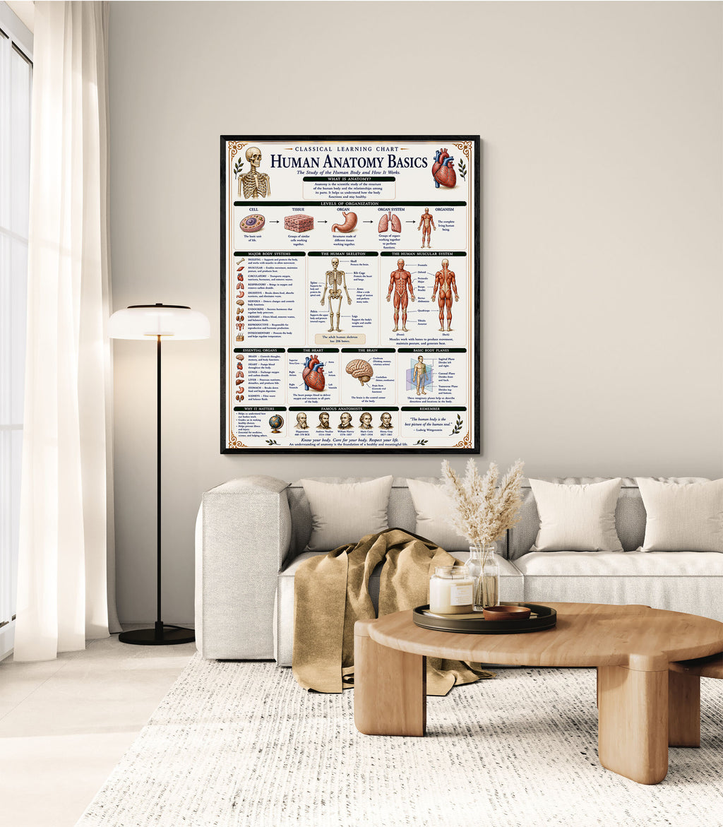 Human Anatomy Basics Classical Learning Chart