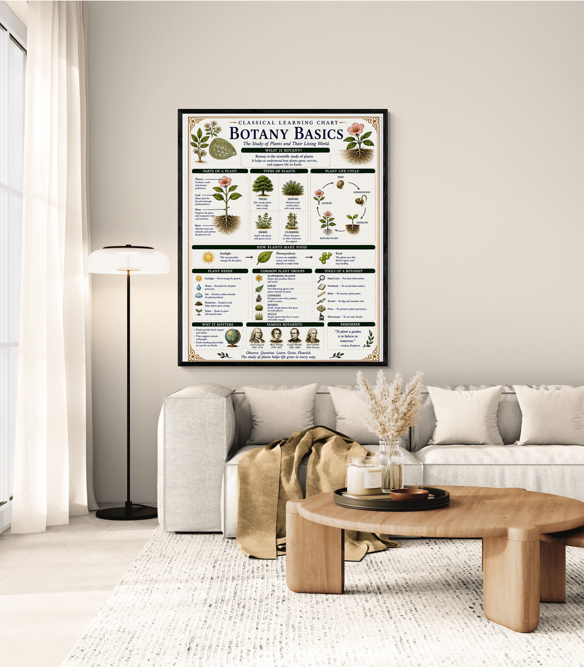 Botany Basics Classical Learning Chart