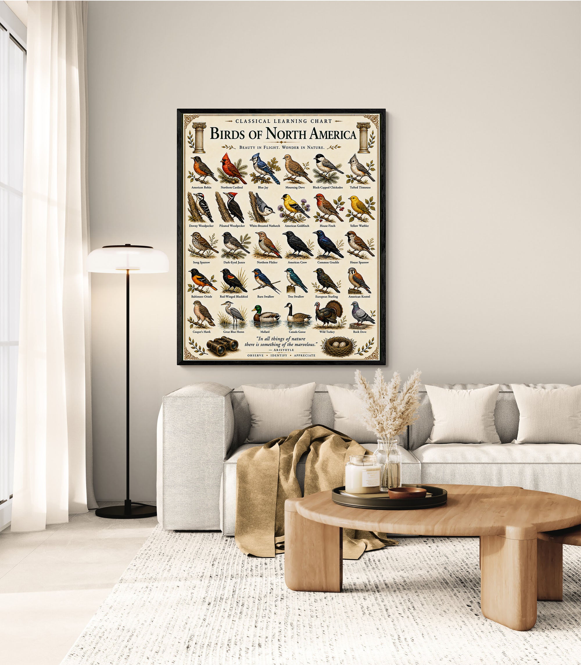 Birds of North America Educational Chart
