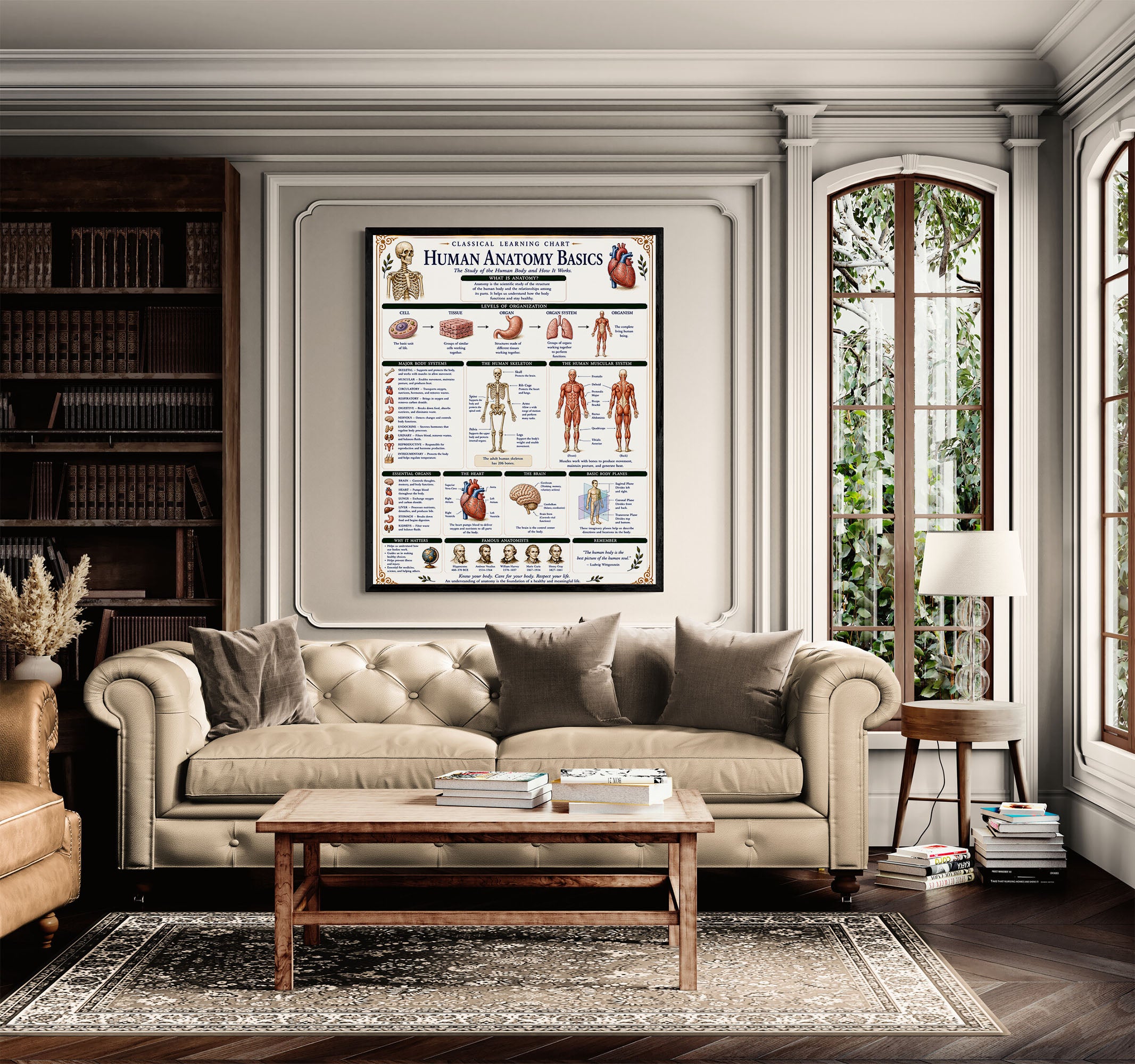 Human Anatomy Basics Classical Learning Chart