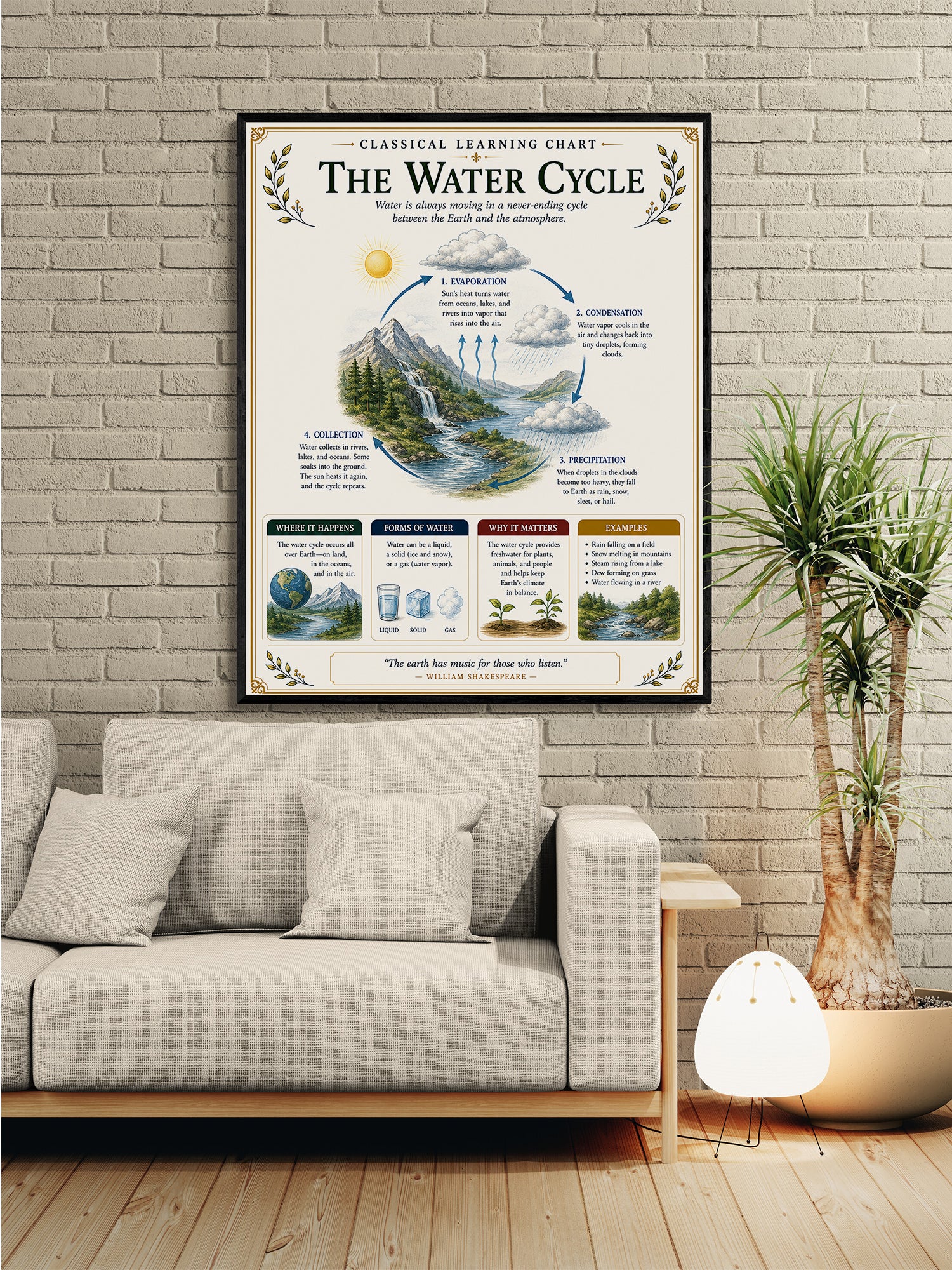 Water Cycle Educational Chart