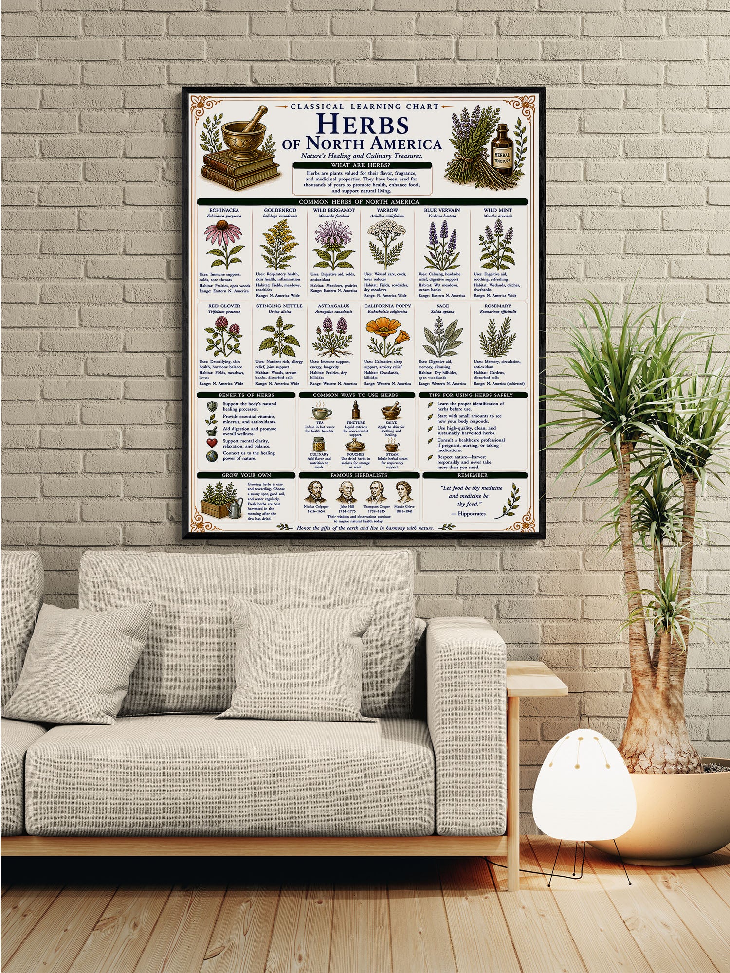 Herbs of North America Classical Learning Chart
