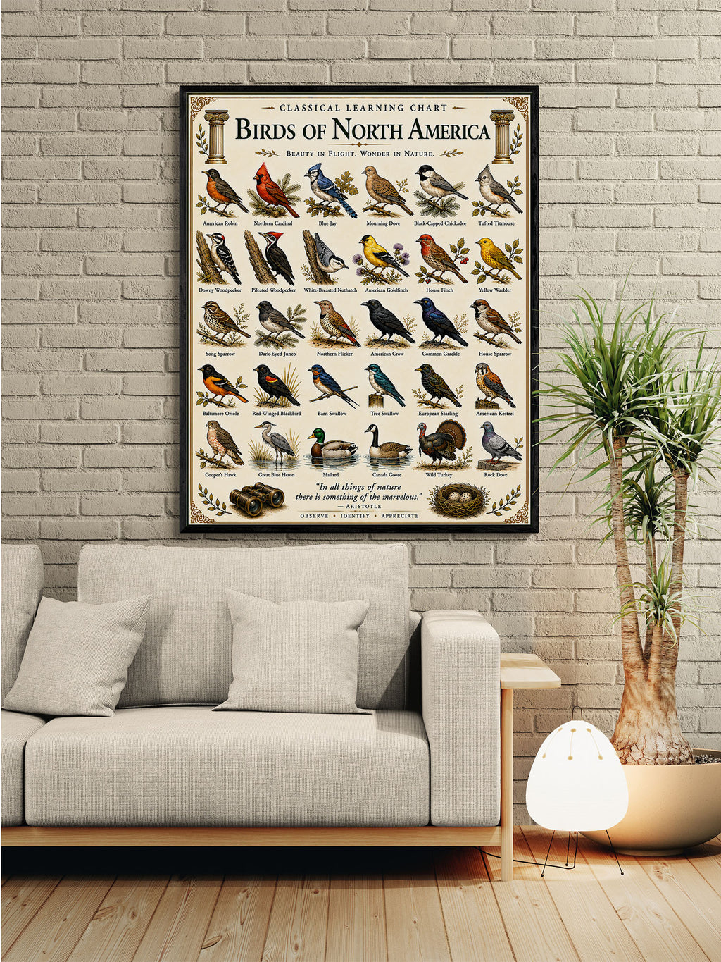 Birds of North America Educational Chart