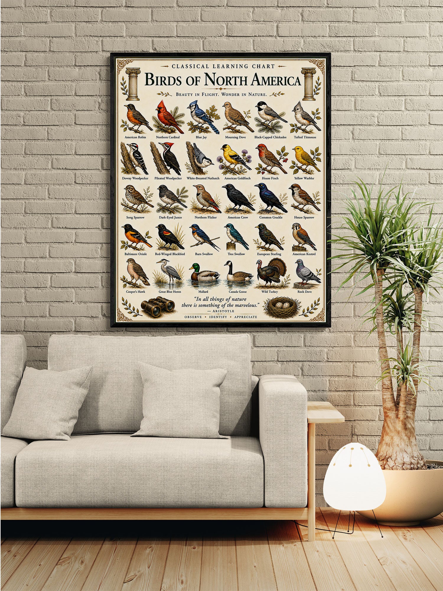 Birds of North America Educational Chart