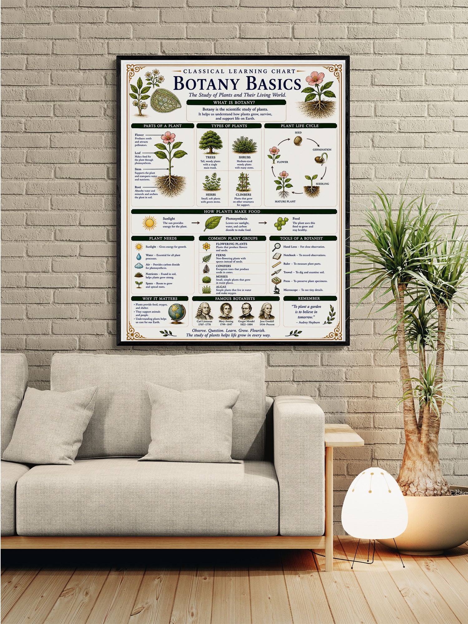 Botany Basics Classical Learning Chart