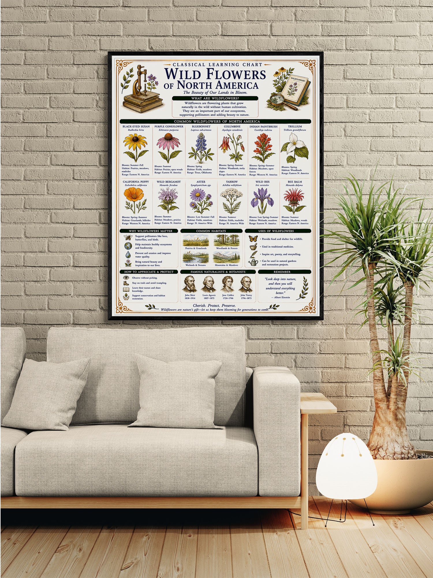 Wild Flowers of North America Classical Learning Chart