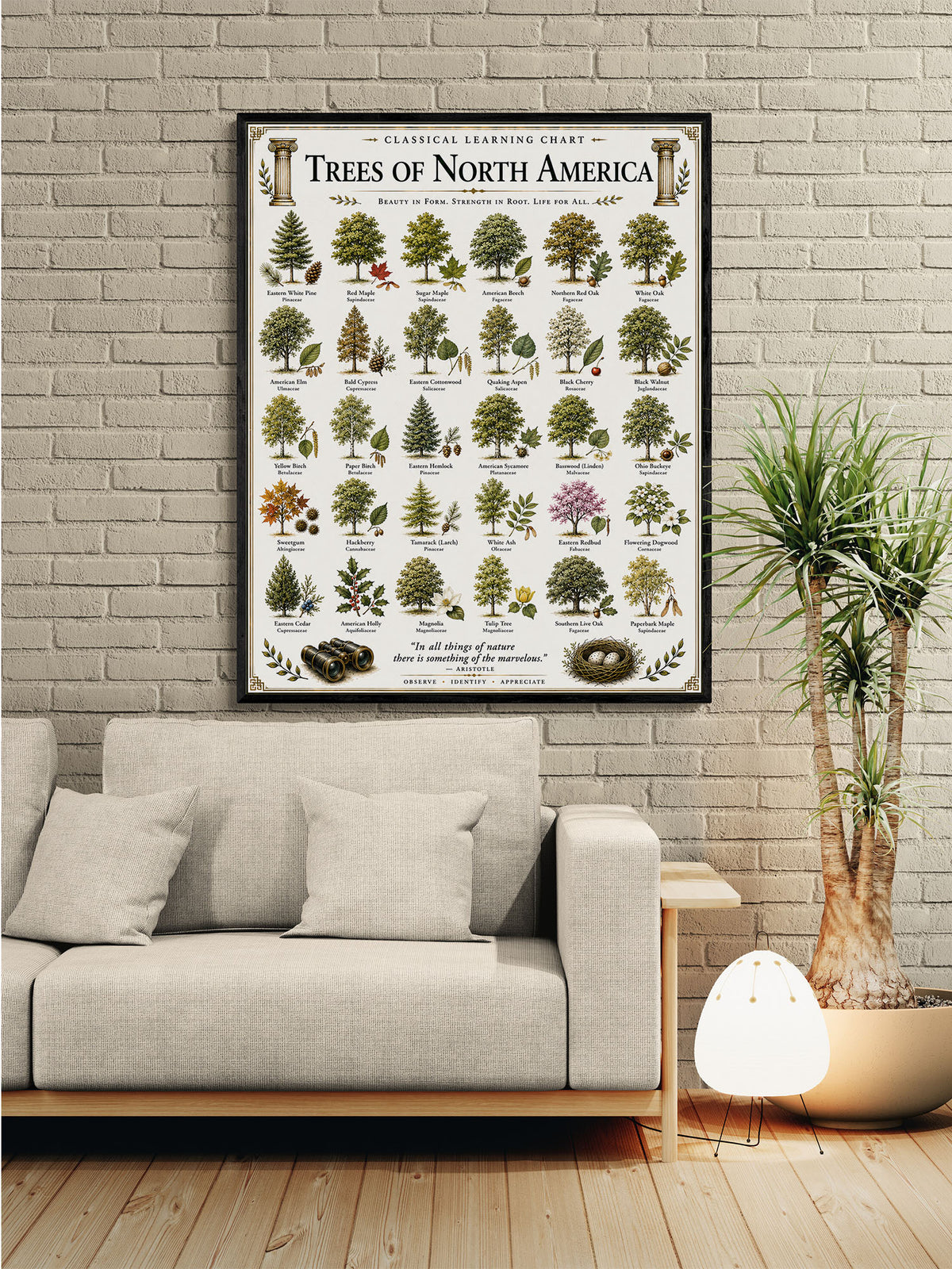 Trees of North America Educational Chart