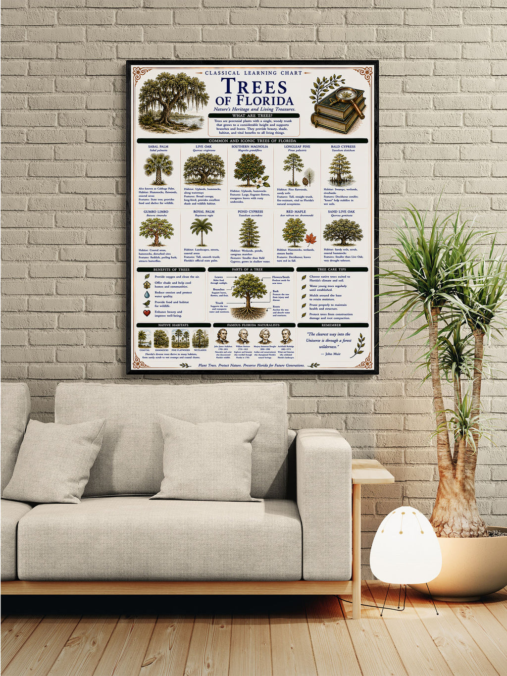 Trees of Florida Classical Learning Chart