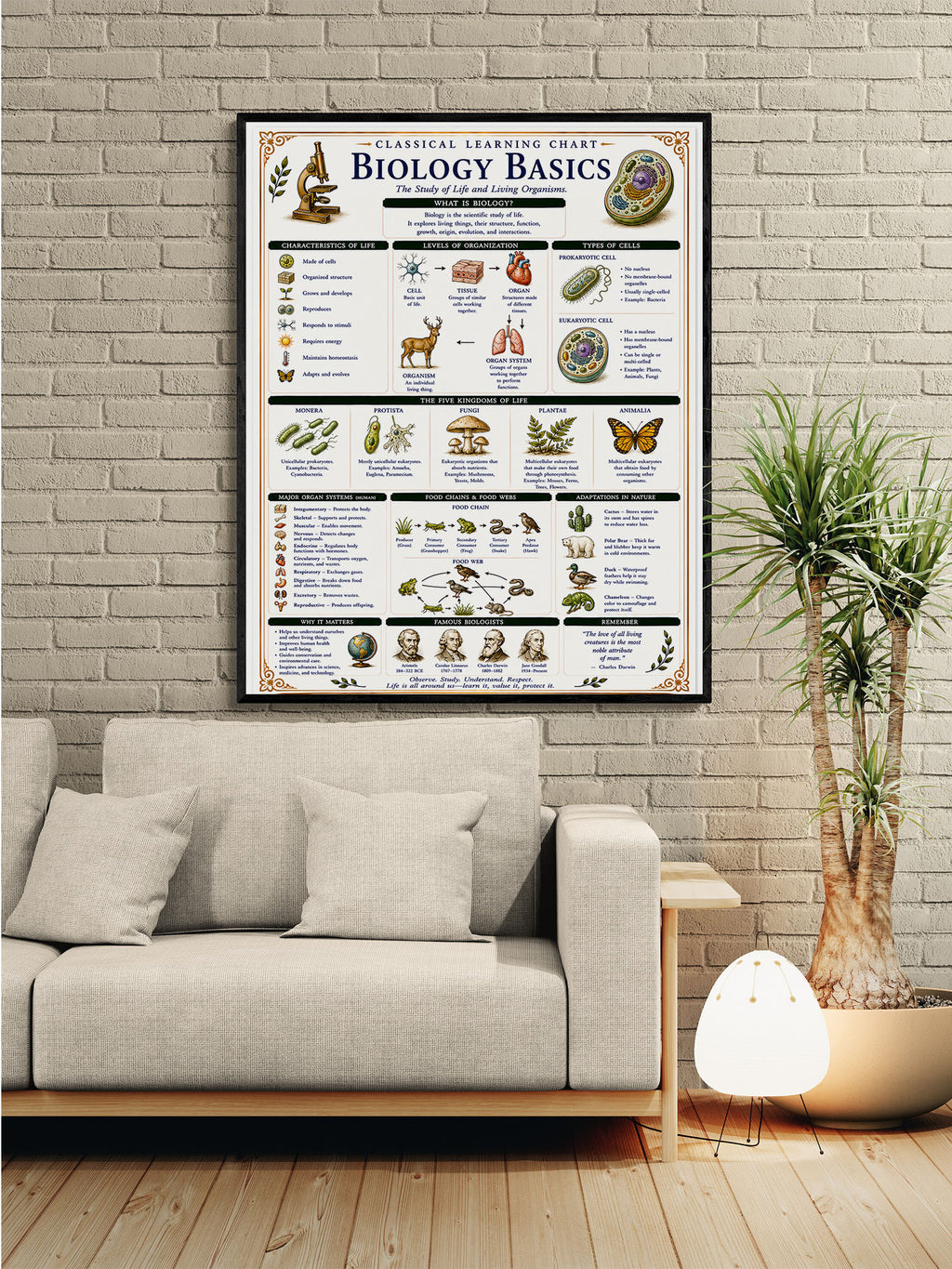 Biology Basics Classical Learning Chart