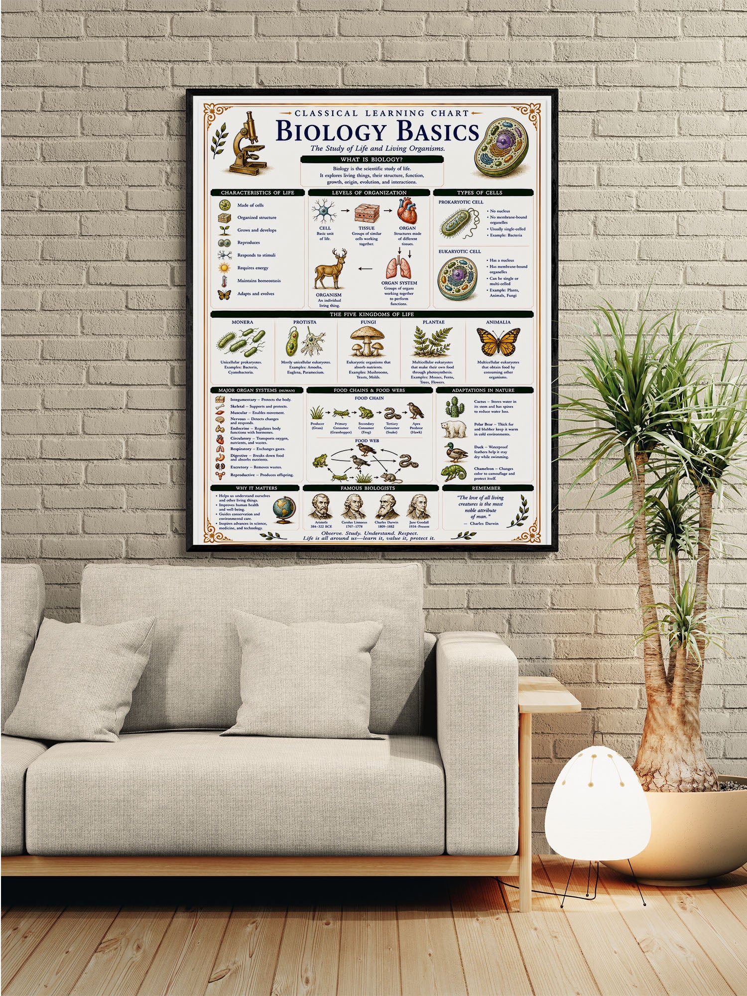 Biology Basics Classical Learning Chart