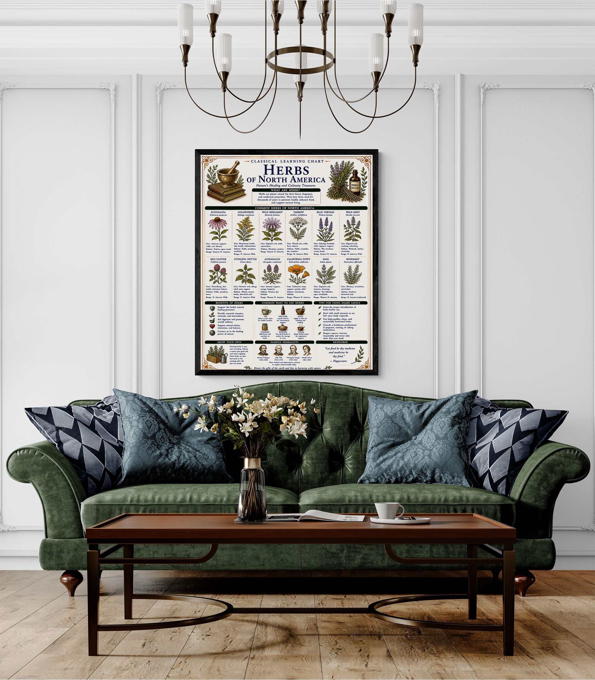 Herbs of North America Classical Learning Chart