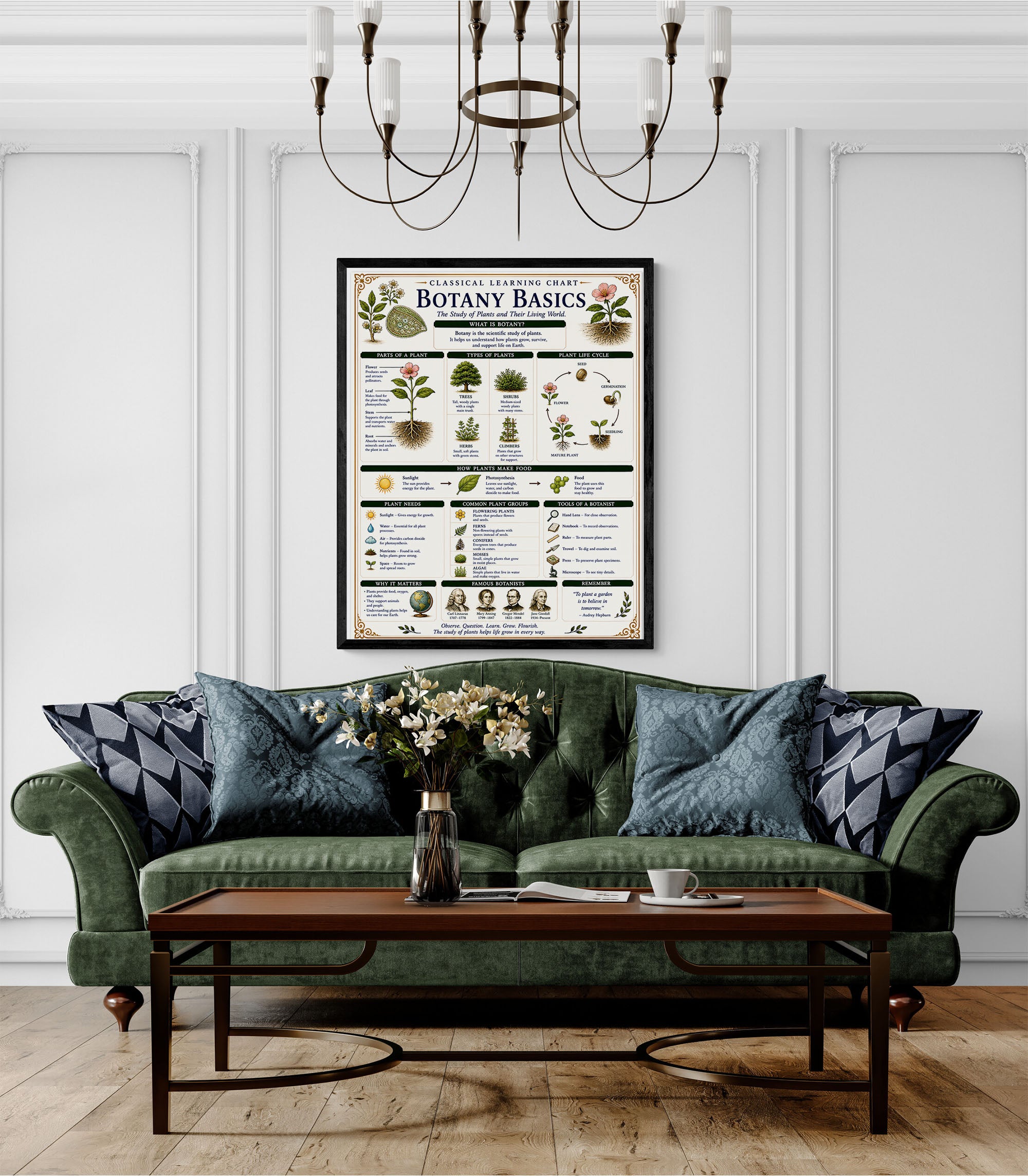 Botany Basics Classical Learning Chart