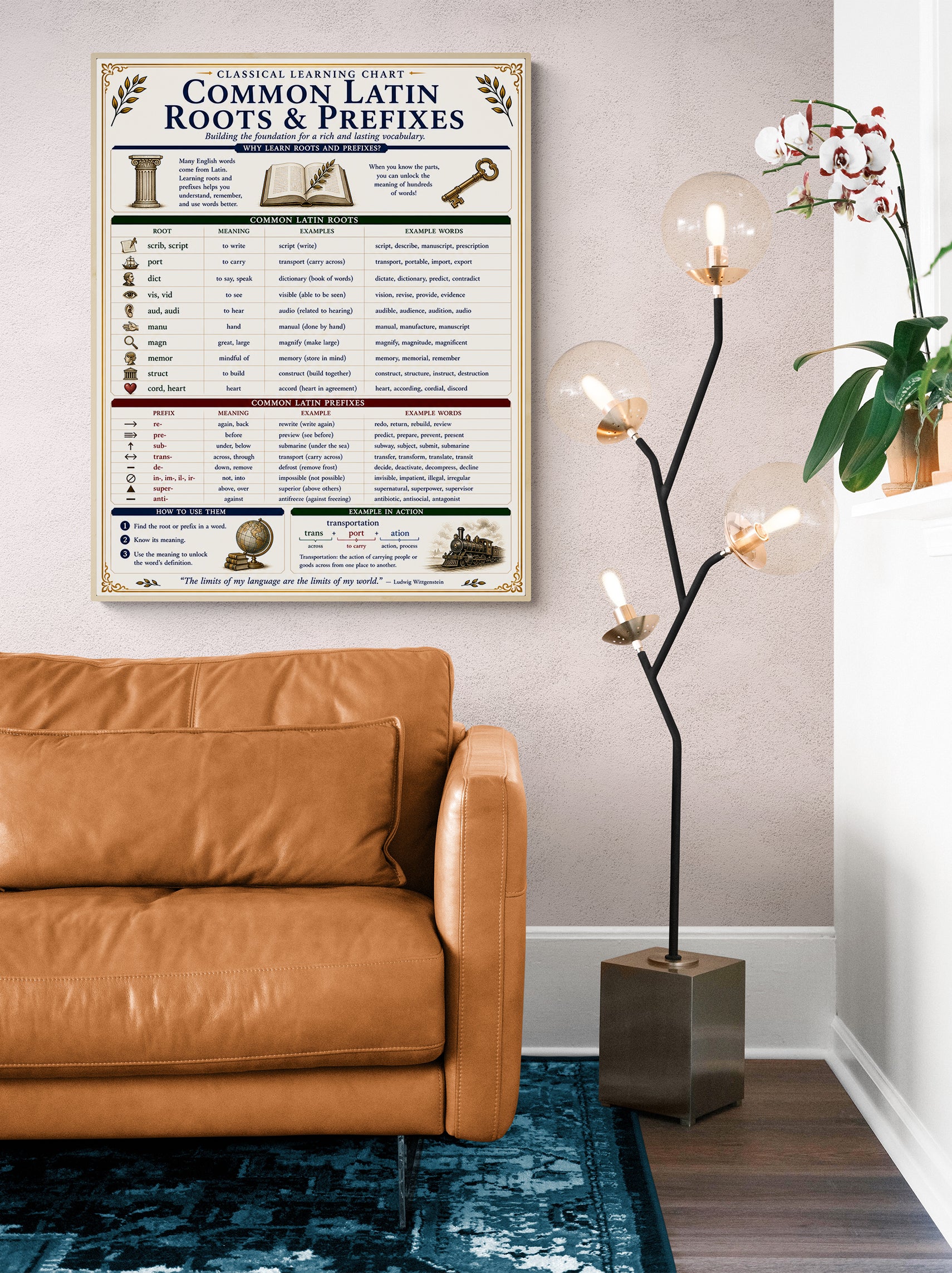 Common Latin Roots & Prefixes Educational Reference Chart