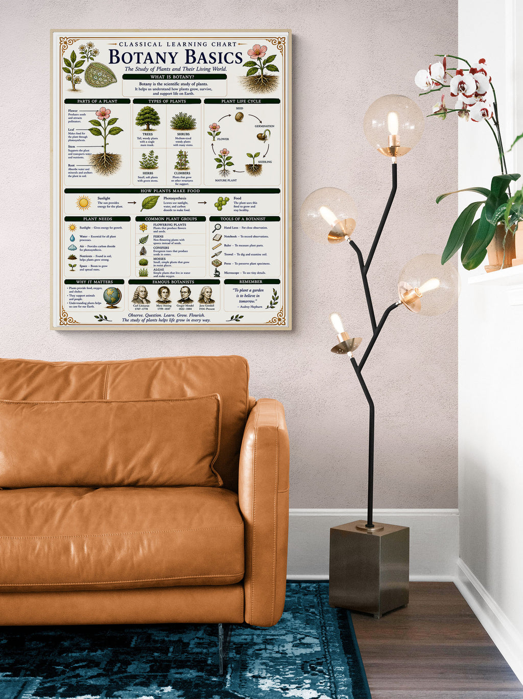 Botany Basics Classical Learning Chart