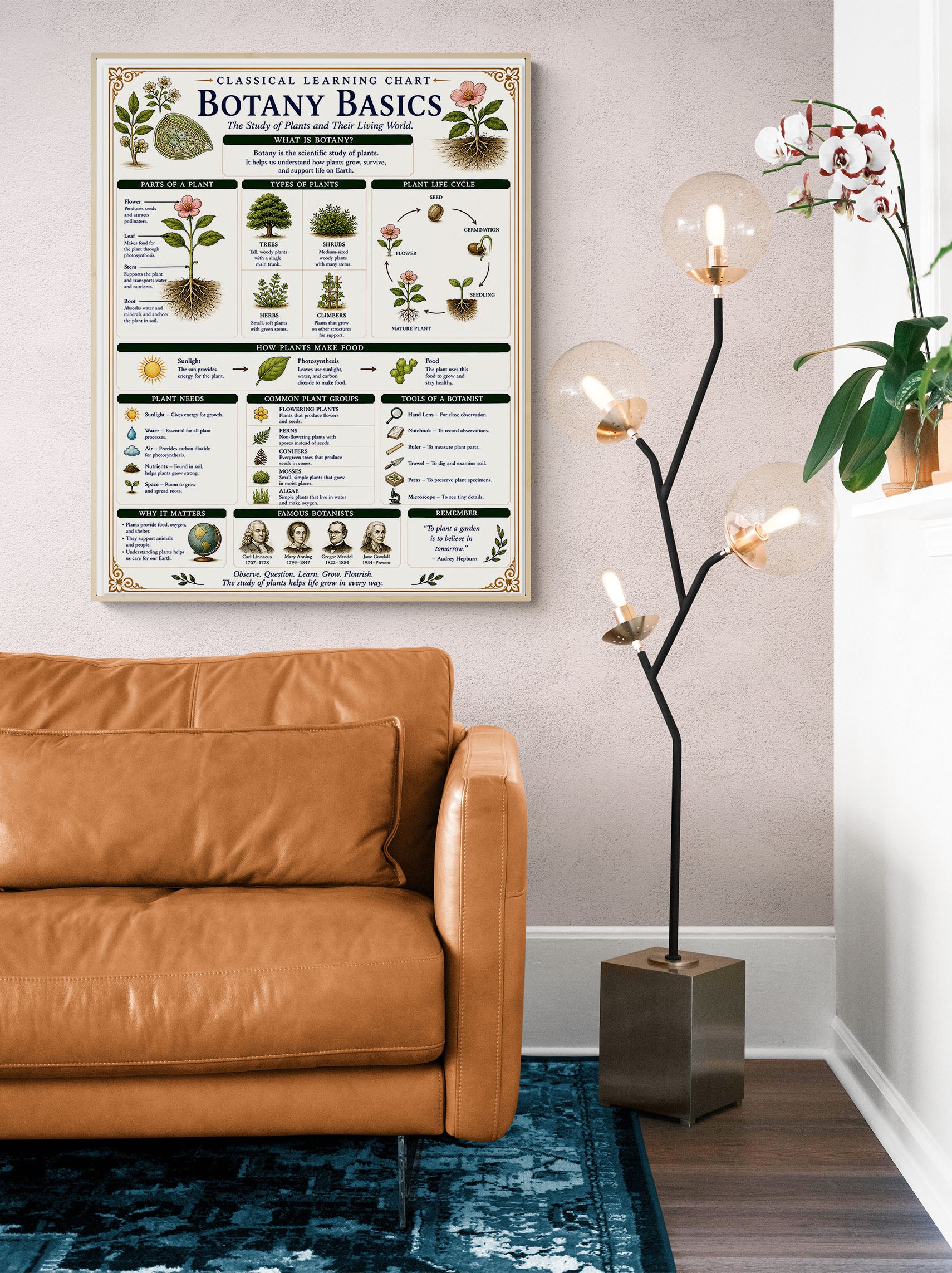 Botany Basics Classical Learning Chart