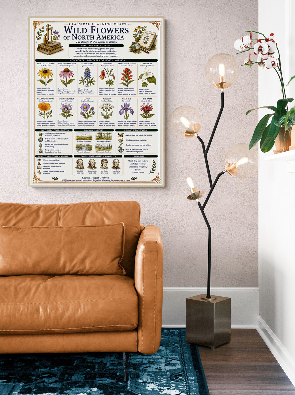 Wild Flowers of North America Classical Learning Chart