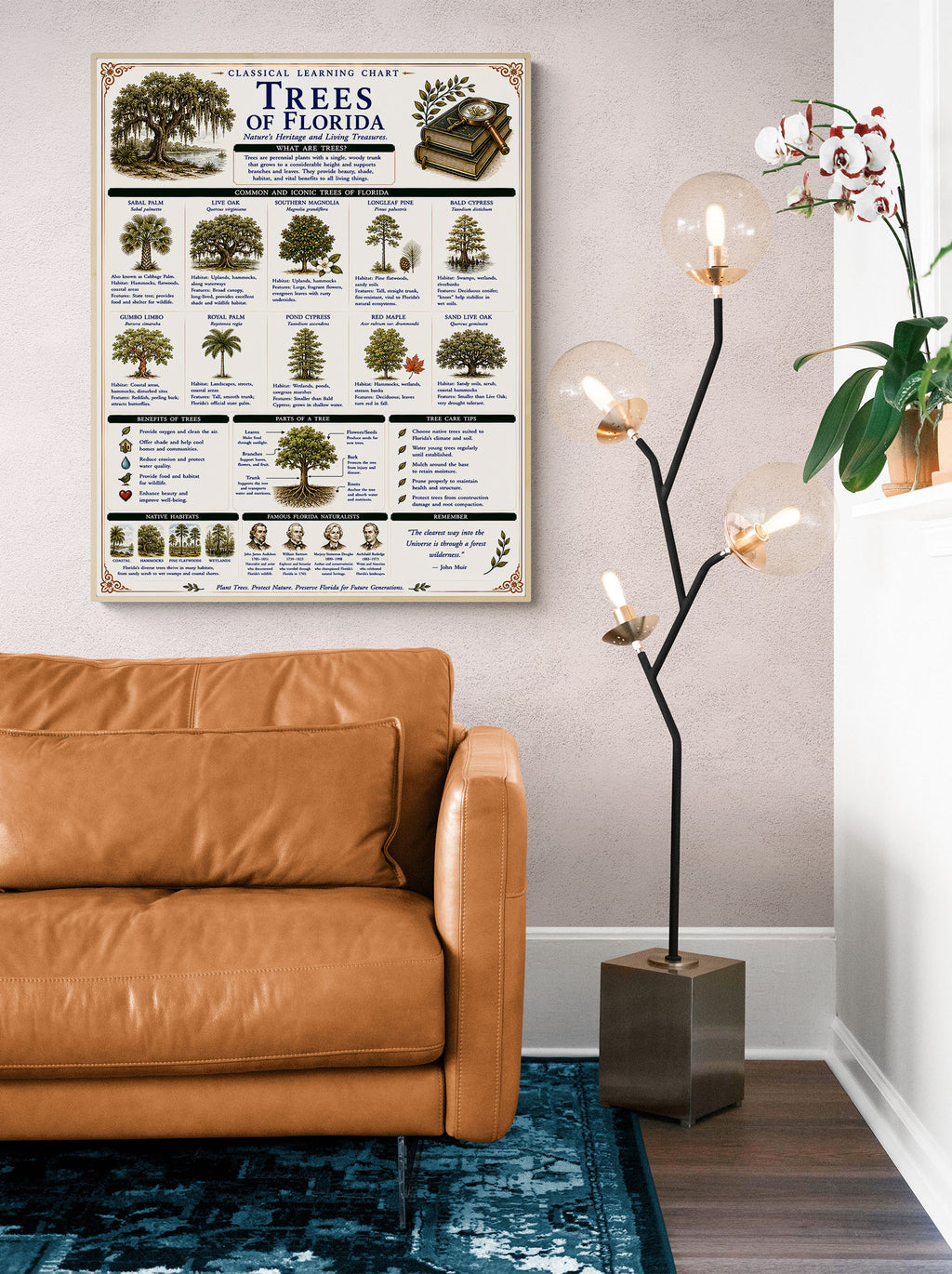 Trees of Florida Classical Learning Chart