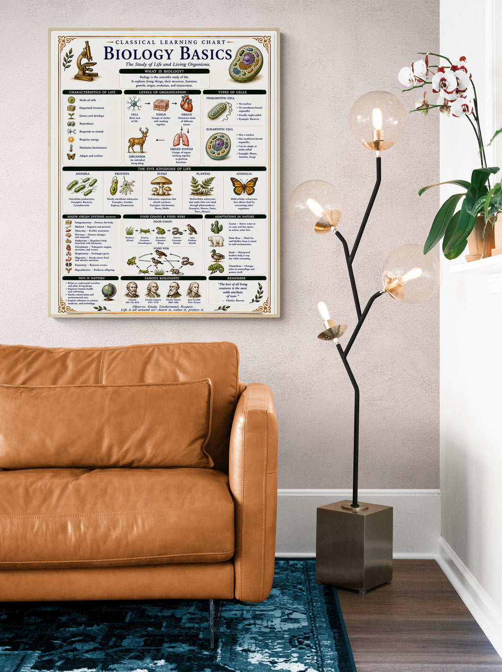Biology Basics Classical Learning Chart