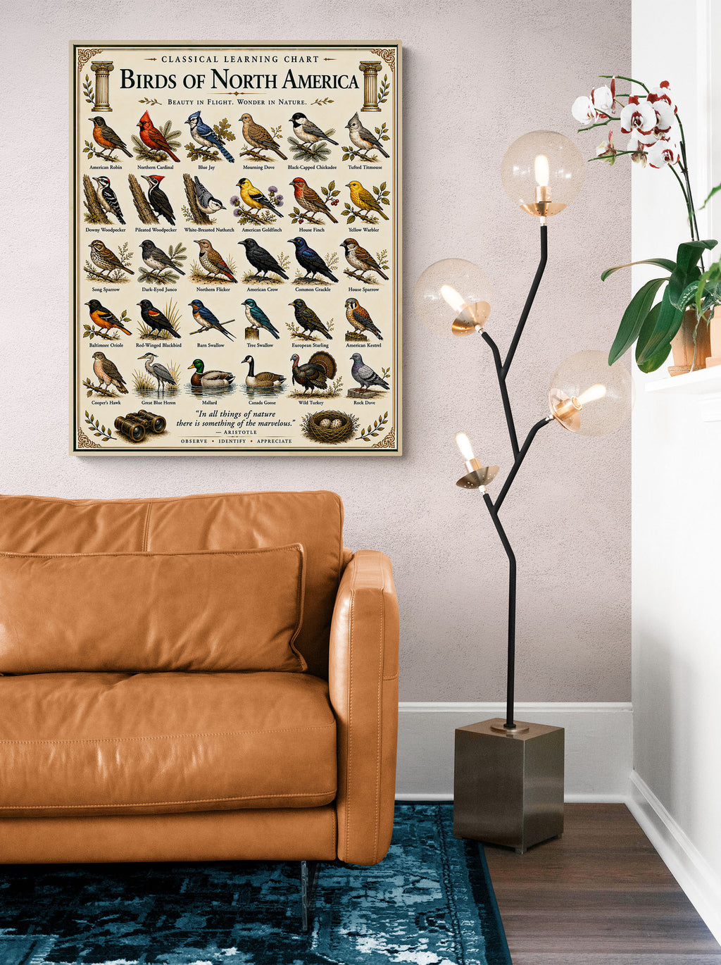 Birds of North America Educational Chart