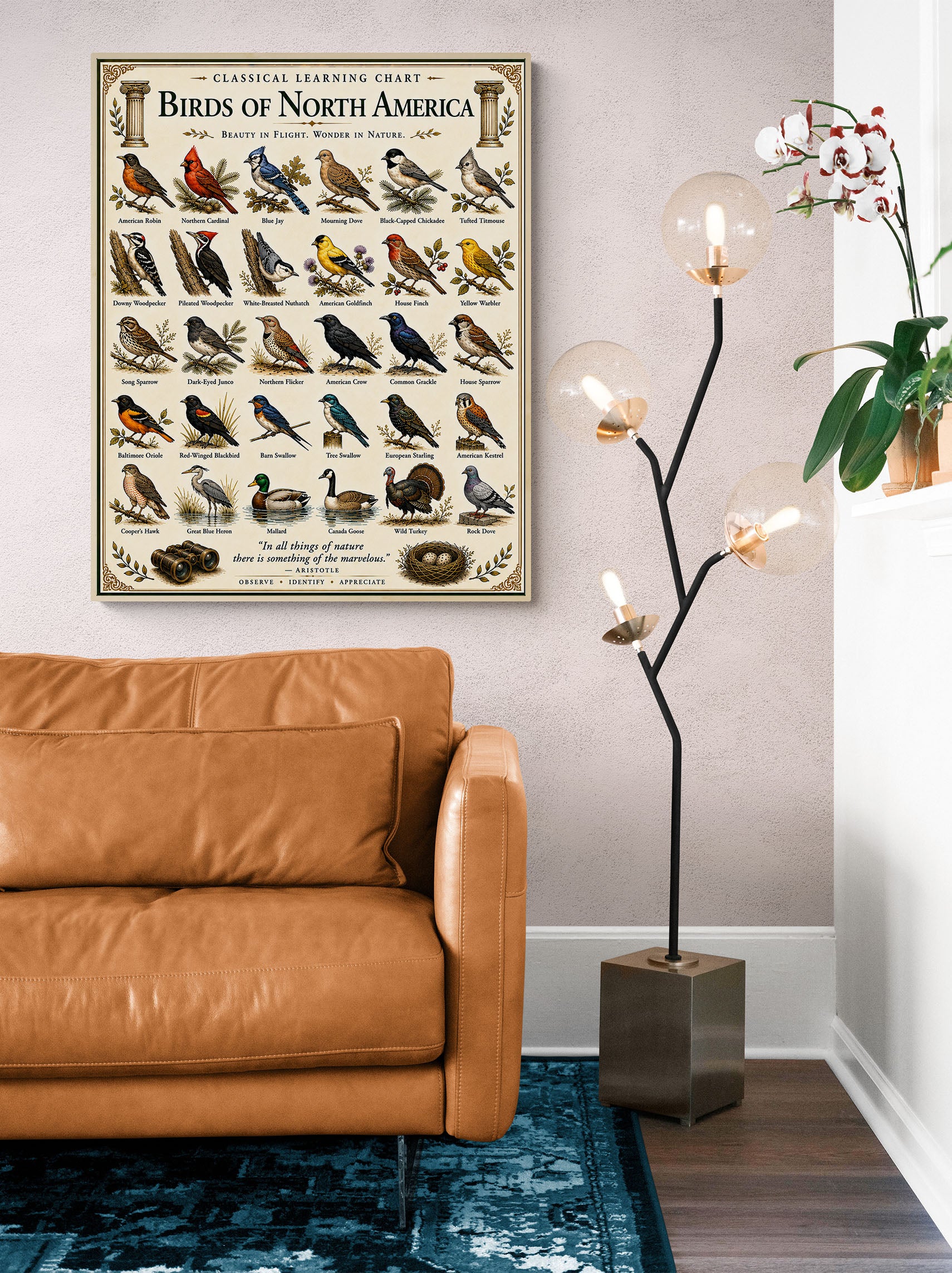 Birds of North America Educational Chart
